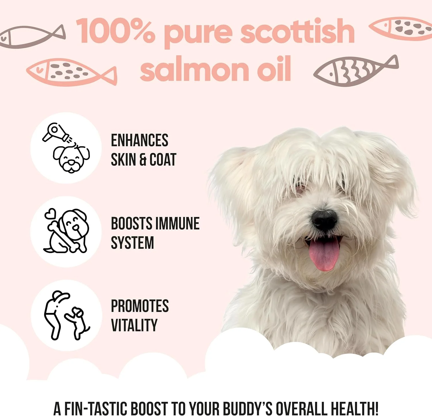 روغن سالمون بادی کر - 500 میلی لیتر روغن سالمون بادی کر - 500 میلی لیتر