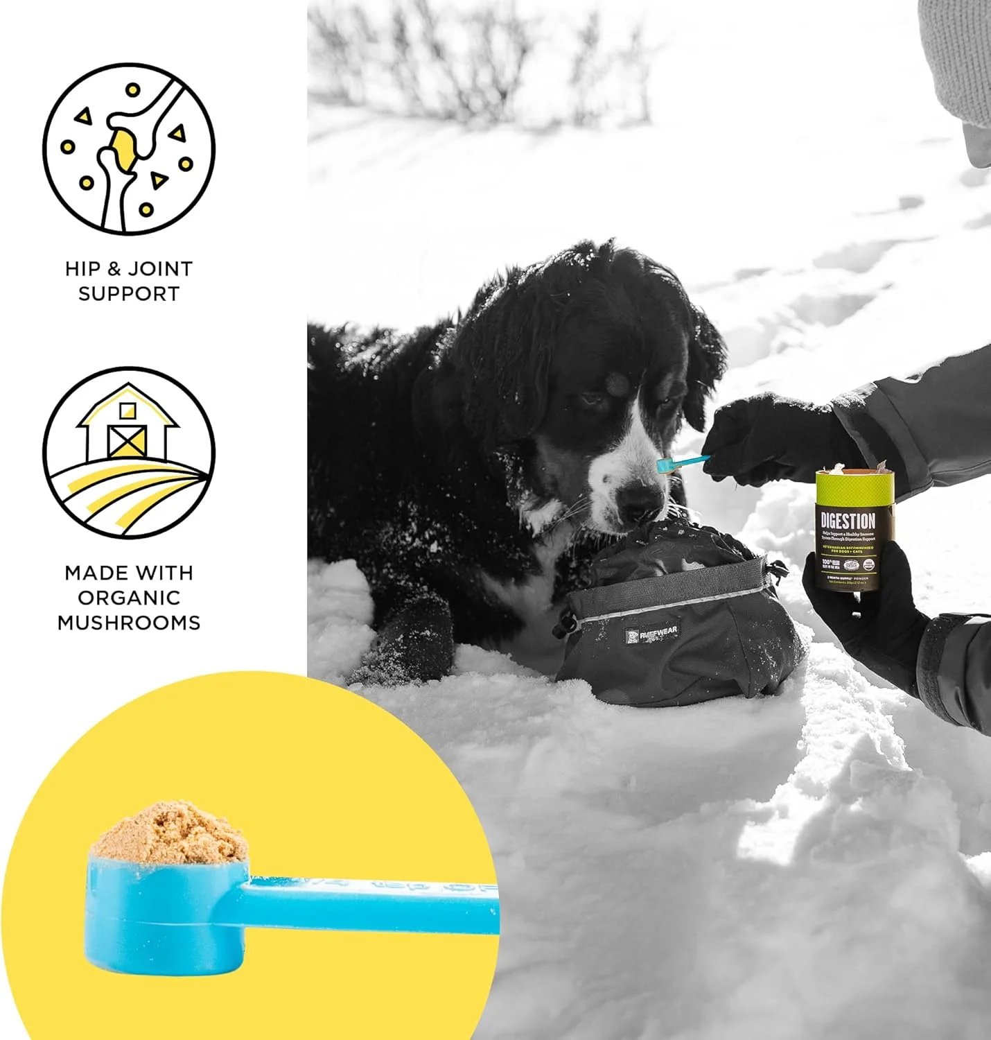 مکمل غذایی روزانه سوپرفود ارگانیک حیوانات خانگی BIXBI، برای مفاصل سگ و گربه مکمل غذایی روزانه سوپرفود ارگانیک حیوانات خانگی BIXBI، برای مفاصل سگ و گربه