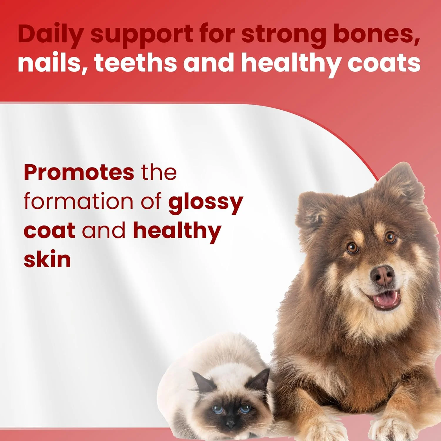 قرص های کلسیم Bio PetActive D-Kaltabs برای گربه ها و سگ ها - 84 عدد قرص جویدنی قرص های کلسیم Bio PetActive D-Kaltabs برای گربه ها و سگ ها - 84 عدد قرص جویدنی