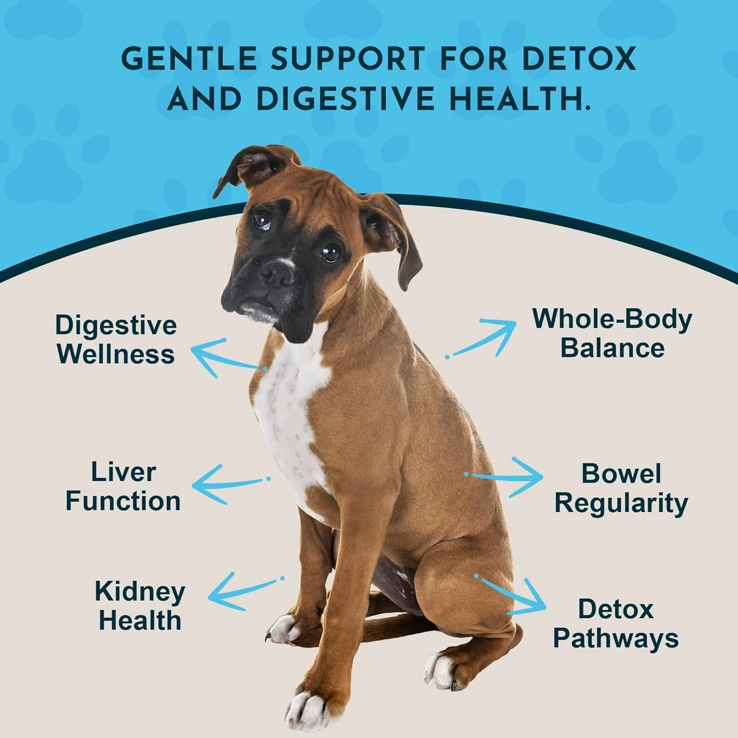 محلول پاک کننده بدن و پشتیبان کبد Animal Essentials برای سگ و گربه، 30 میلی لیتر - ساخت آمریکا، بدون الکل، سیستم ایمنی سالم