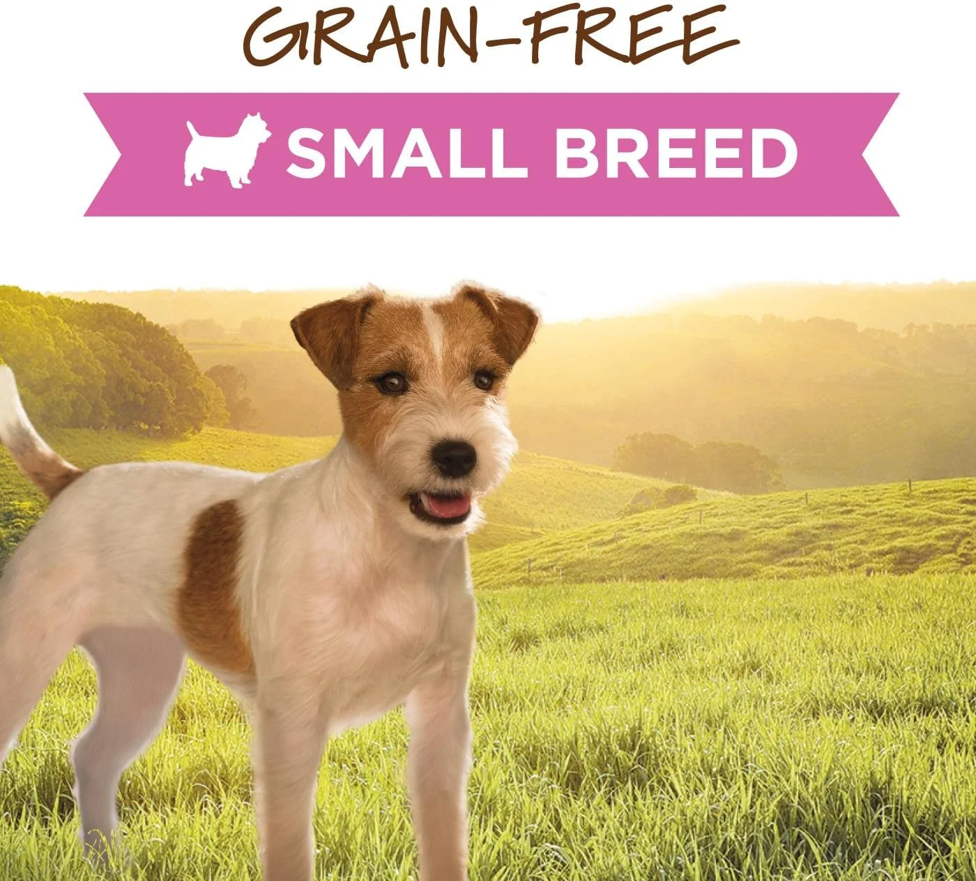 غذای مرطوب سگ نژاد کوچک اینستینکت اورجینال با طعم گوشت گاو - 156 گرم