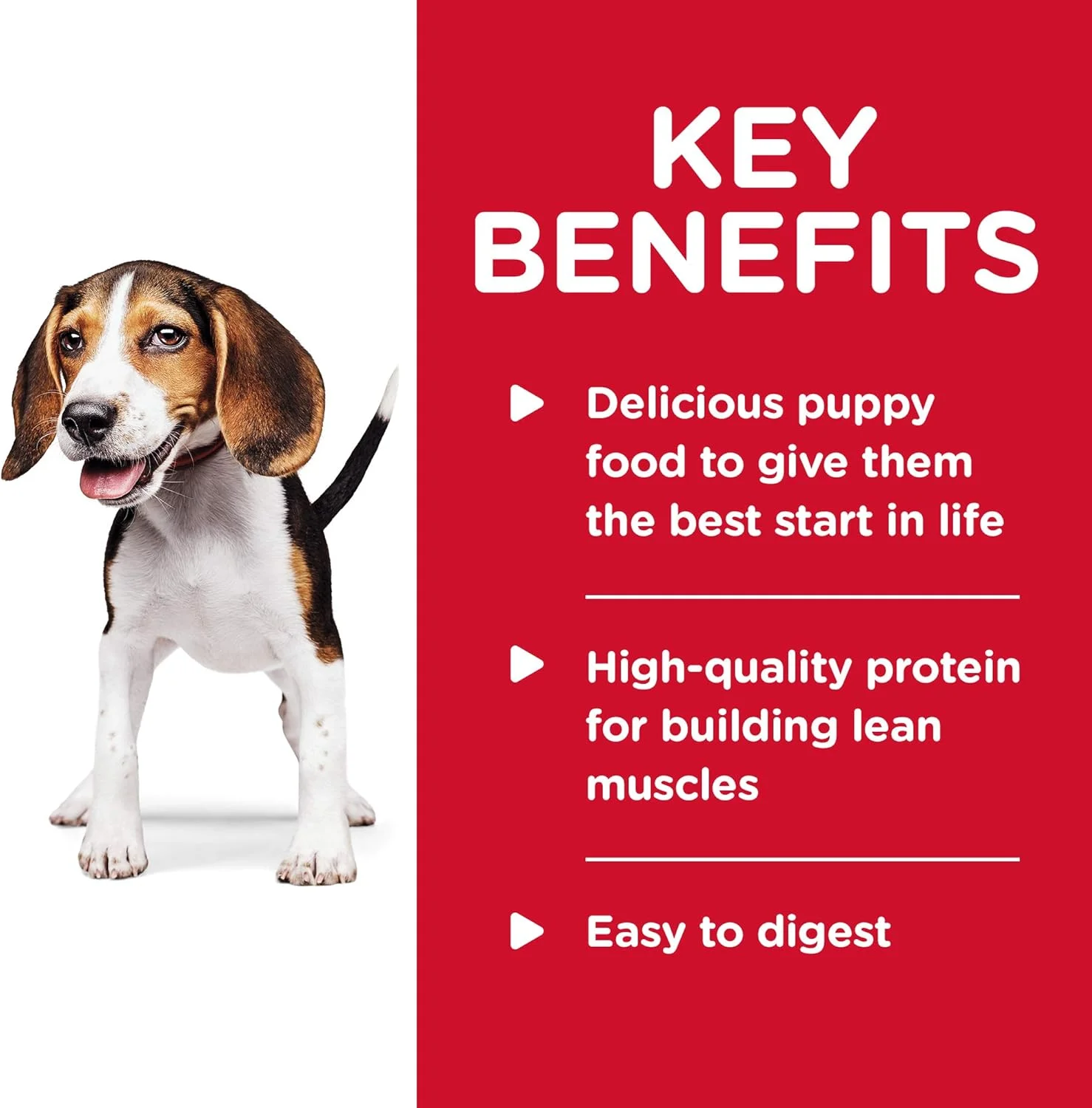 غذای سگ مرطوب هیلز ساینس دایت پاپی، غذای ممتاز توله سگ، خوراک سگ، خورش مرغ و سبزیجات، قوطی 363 گرمی، بسته 12 عددی