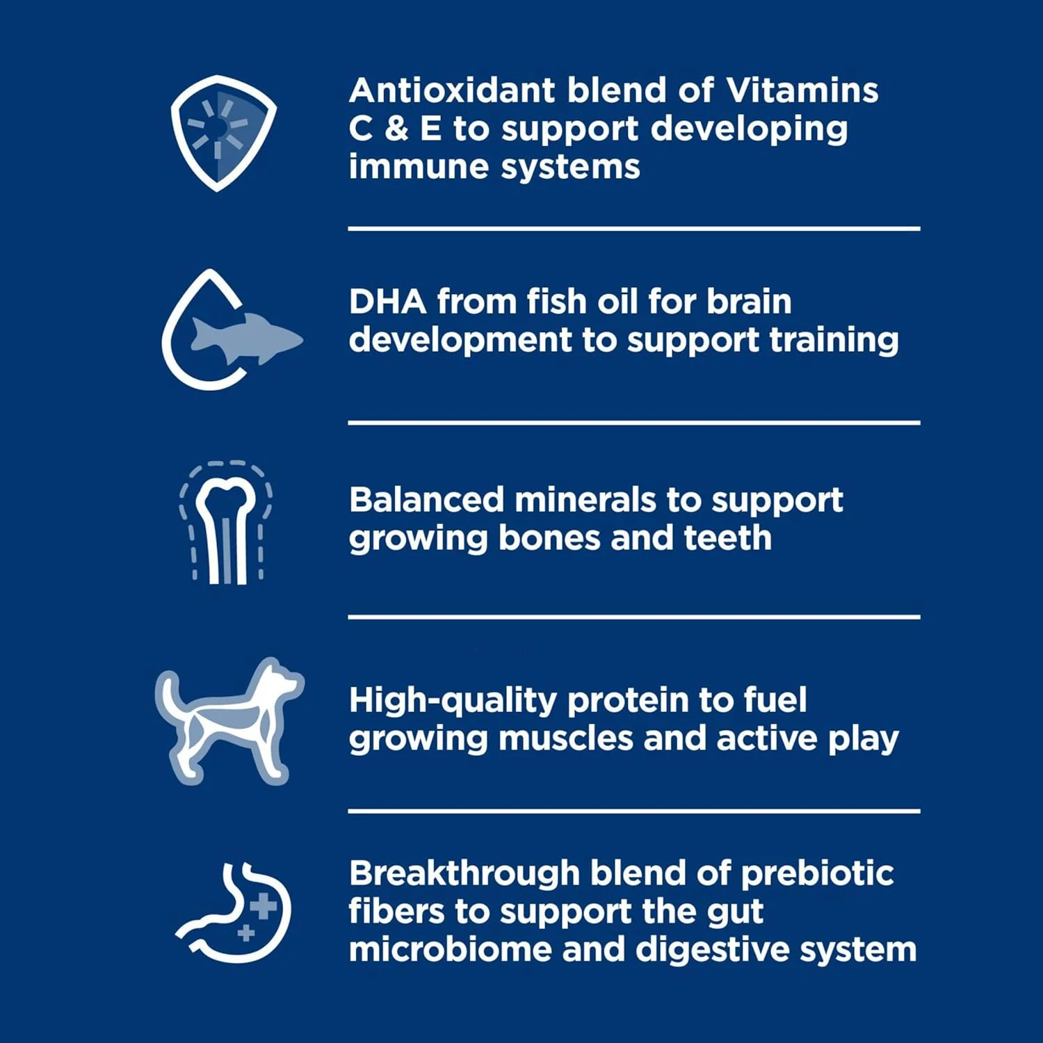 غذای سگ هیلز ساینس دایت پاپی، غذای مرطوب توله سگ نژاد کوچک و مینی، طعم گوشت گاو و جو، قوطی 164 گرمی، بسته 24 عددی غذای سگ هیلز ساینس دایت پاپی، غذای مرطوب توله سگ نژاد کوچک و مینی، طعم گوشت گاو و جو، قوطی 164 گرمی، بسته 24 عددی