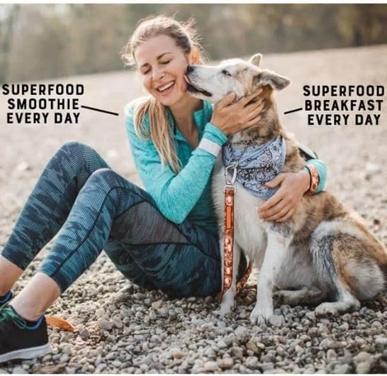 غذای مرطوب سگ یورا پت فودز با حشرات مغذی، هویج و سیب زمینی - 390 گرم