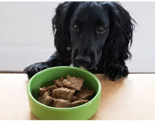 غذای مرطوب سگ یورا پت فودز با حشرات مغذی، هویج و سیب زمینی - 390 گرم