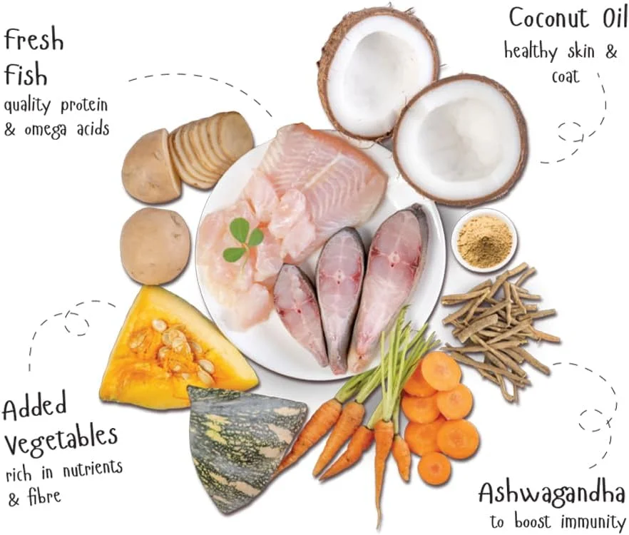 مکمل غذای مرطوب سگ Fidele+ - ماهی تازه با سبزیجات، بسته 12 عددی 100 گرمی | بدون غلات، تقویت کننده طبیعی برای غذای خشک، غذای نرم برای حیوانات خانگی حساس، بدون مواد نگهدارنده