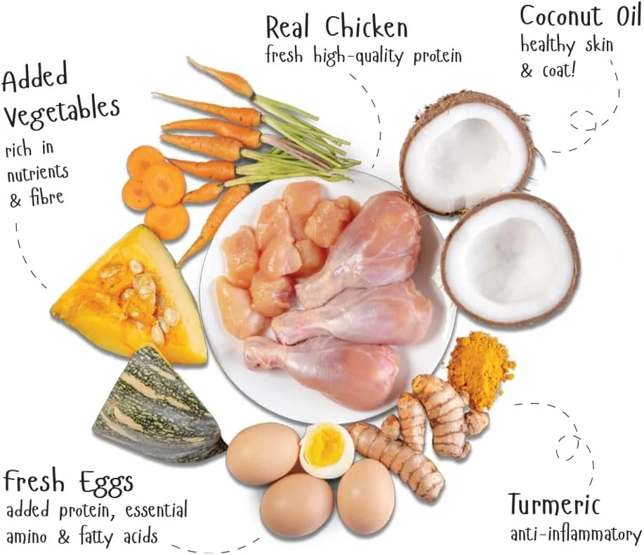 غذای مرطوب سگ فیدل پلاس با طعم مرغ تازه و تخم مرغ به همراه سبزیجات، بسته 12 عددی 100 گرمی + 2 عدد رایگان