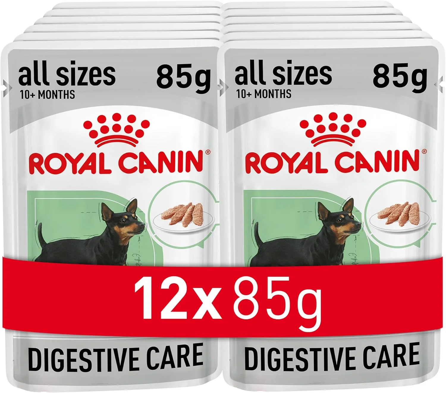 غذای مرطوب سگ بالغ رویال کنین مدل Digestive Care، 12 بسته 85 گرمی، مناسب سگ های بالای 10 ماه با هضم حساس
