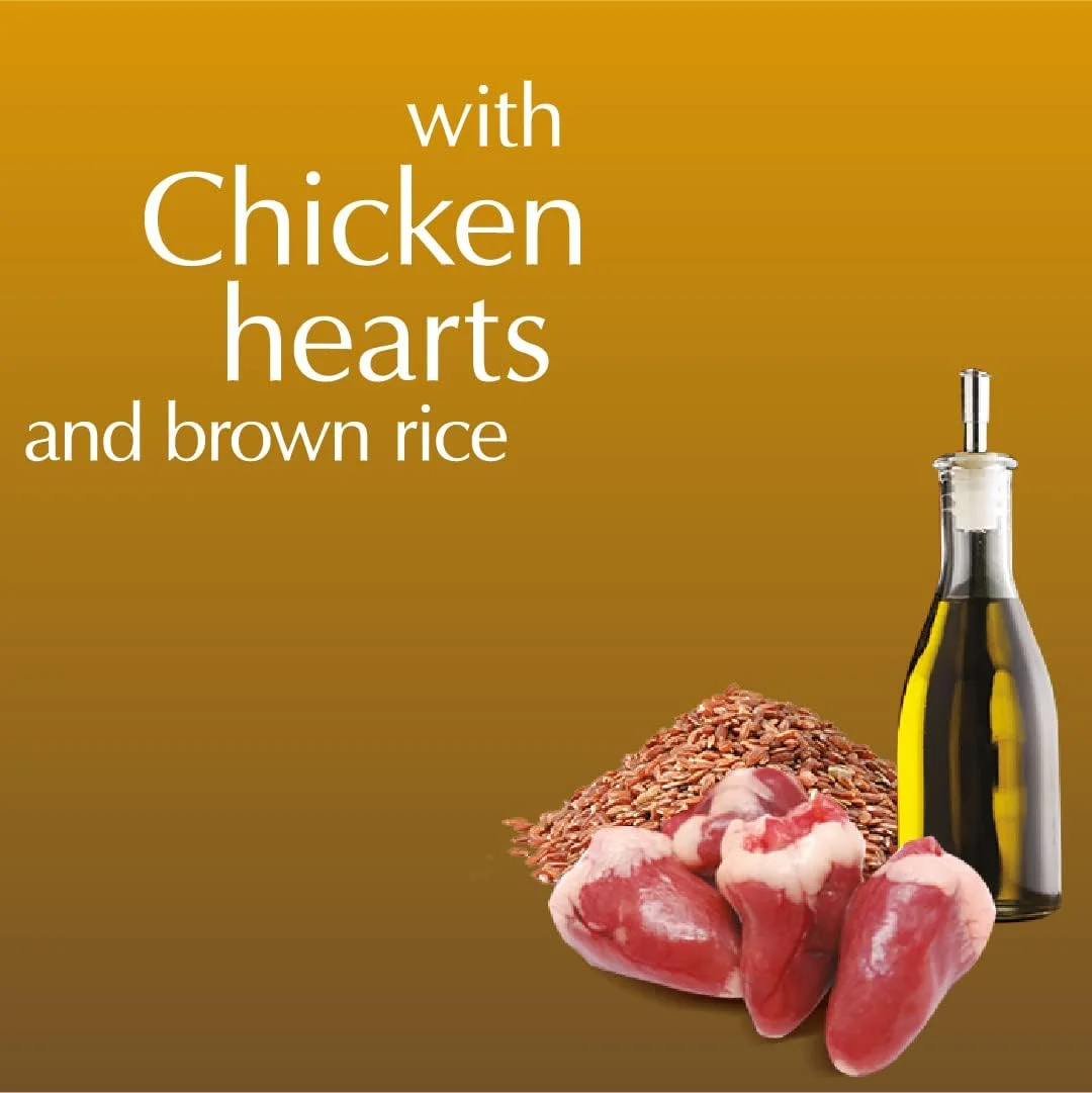 غذای مرطوب سگ دولینا نوتچی با طعم پایپر، قلب مرغ و برنج قهوه ای 500 گرم