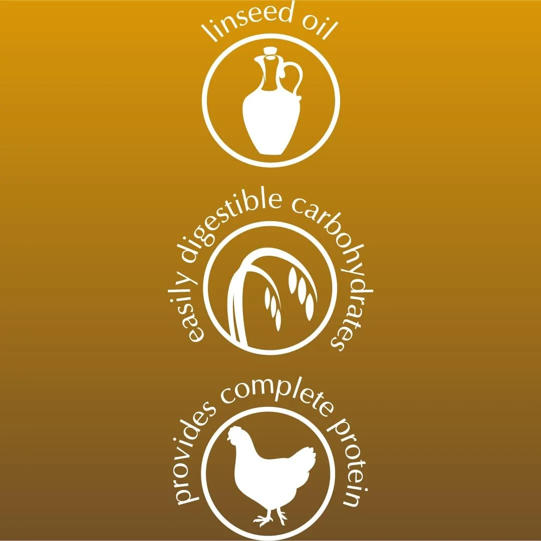 غذای مرطوب سگ دولینا نوتچی با طعم پایپر، قلب مرغ و برنج قهوه ای 500 گرم