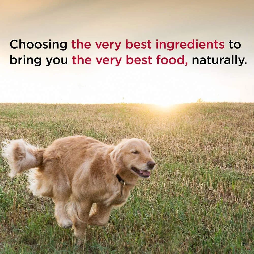 غذای سگ Diamond Naturals با طعم مرغ، بسته 12 عددی، 374 گرمی