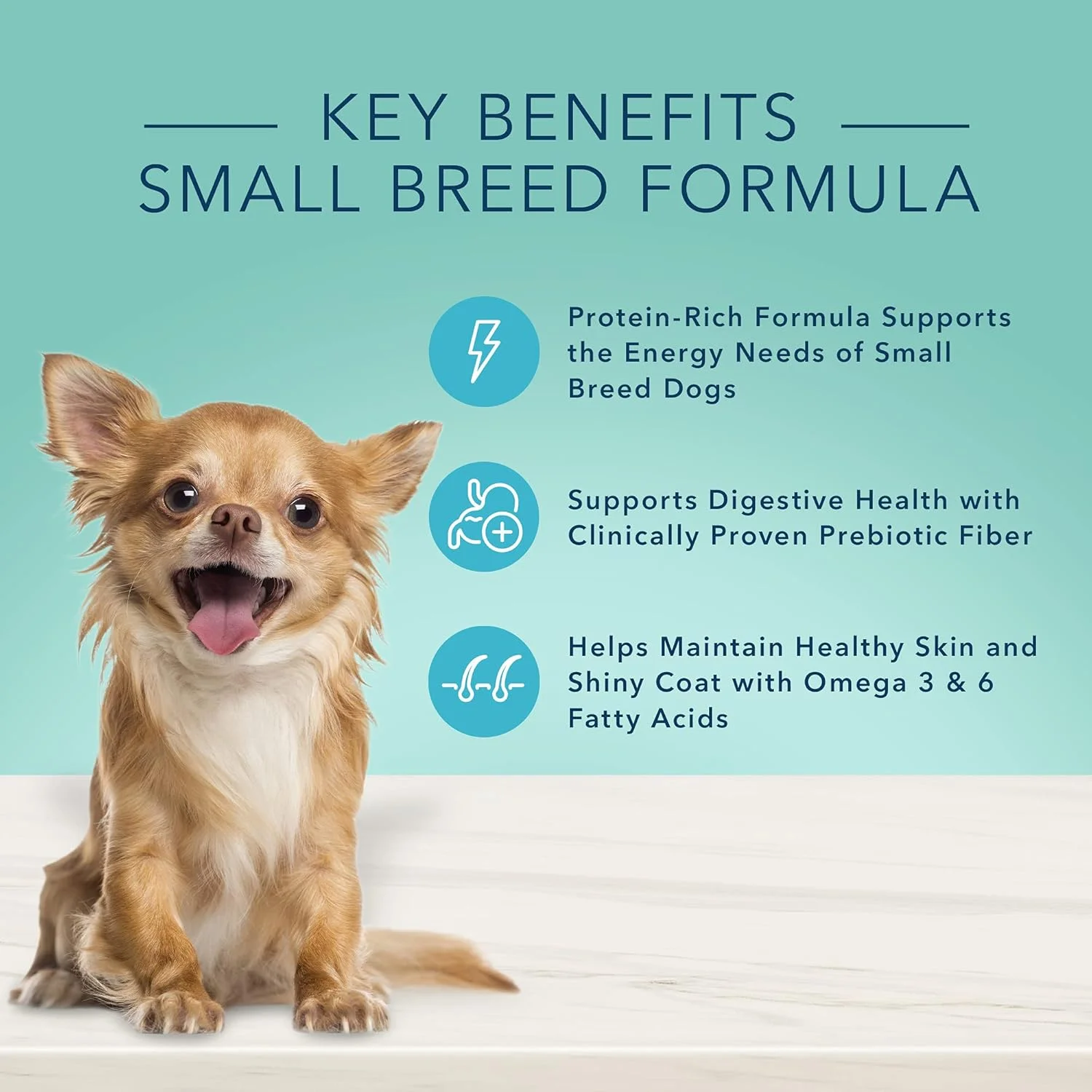 غذای مرطوب سگ نژاد کوچک بالغ بلو بوفالو True Solutions Small & Mighty، طعم مرغ، قوطی 5.5 اونسی (24 عدد) غذای مرطوب سگ نژاد کوچک بالغ بلو بوفالو True Solutions Small & Mighty، طعم مرغ، قوطی 5.5 اونسی (24 عدد)