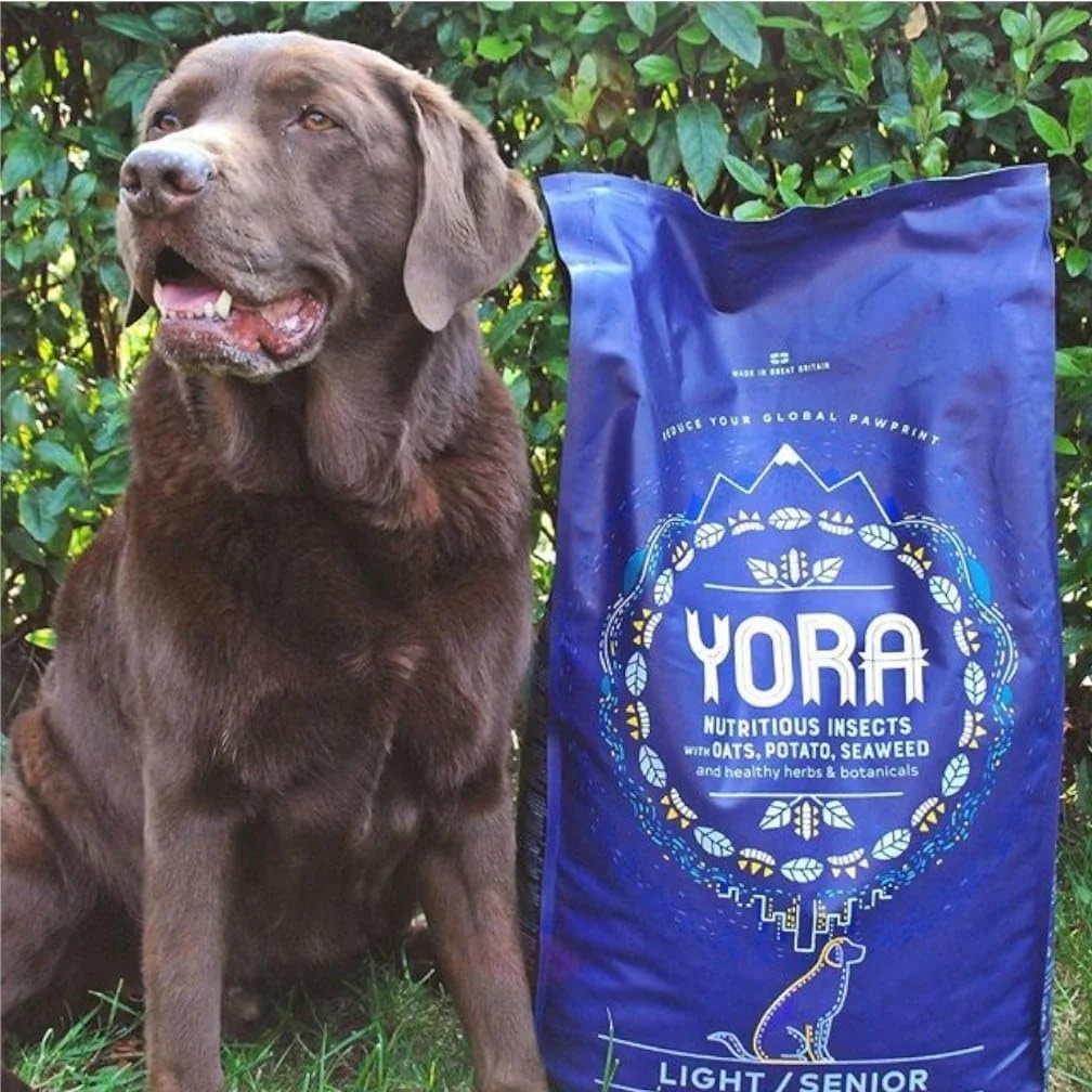 غذای خشک سگ مسن با پروتئین حشرات - 1.5 کیلوگرم غذای خشک سگ مسن با پروتئین حشرات - 1.5 کیلوگرم