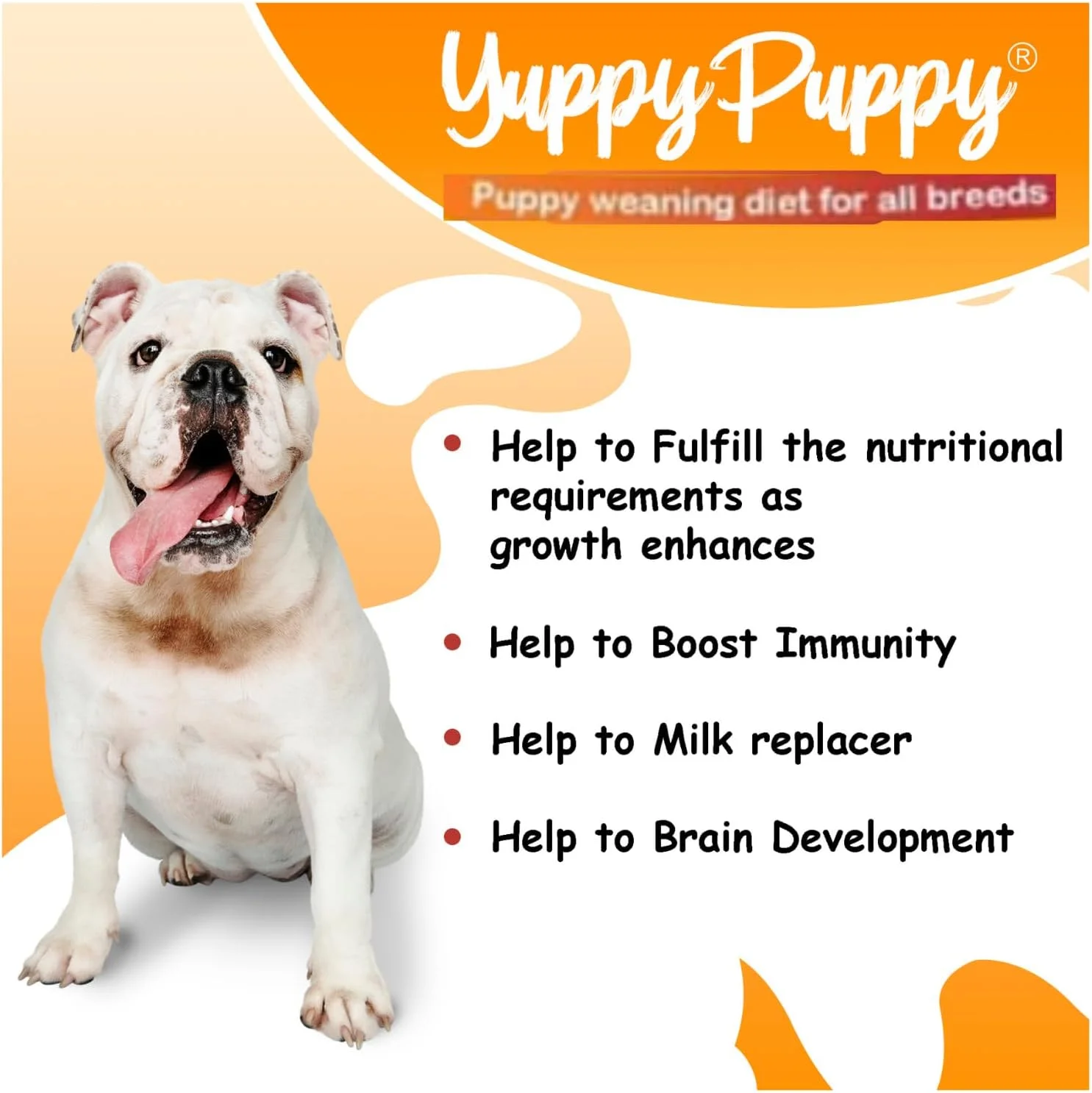 شیر خشک مطلق برای توله سگ های تازه متولد شده، غذای سگ، غذای رژیمی برای از شیر گرفتن توله سگ، مکمل غذایی، غذای خشک سگ با طعم شیر با شیر برای شیر توله سگ نژاد کوچک (400 گرم)