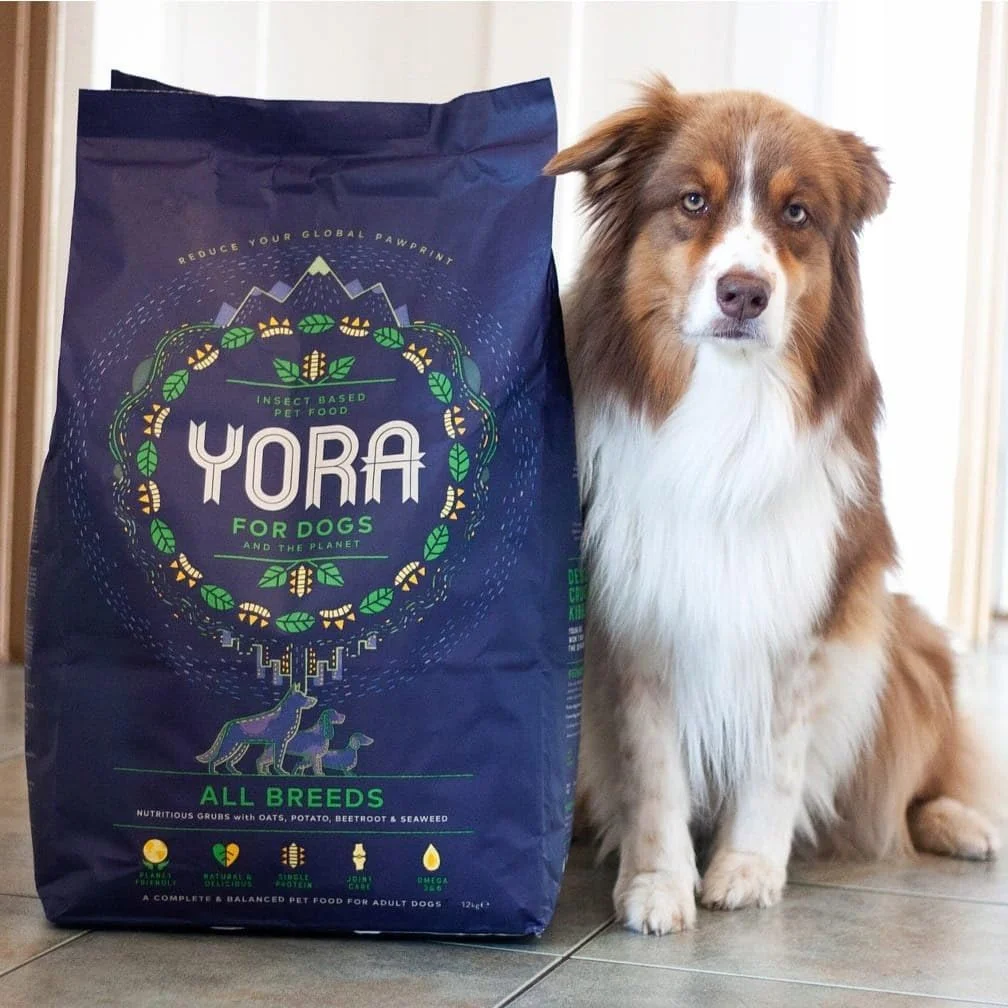 غذای خشک سگ بالغ با پروتئین حشرات - 6 کیلوگرم غذای خشک سگ بالغ با پروتئین حشرات - 6 کیلوگرم