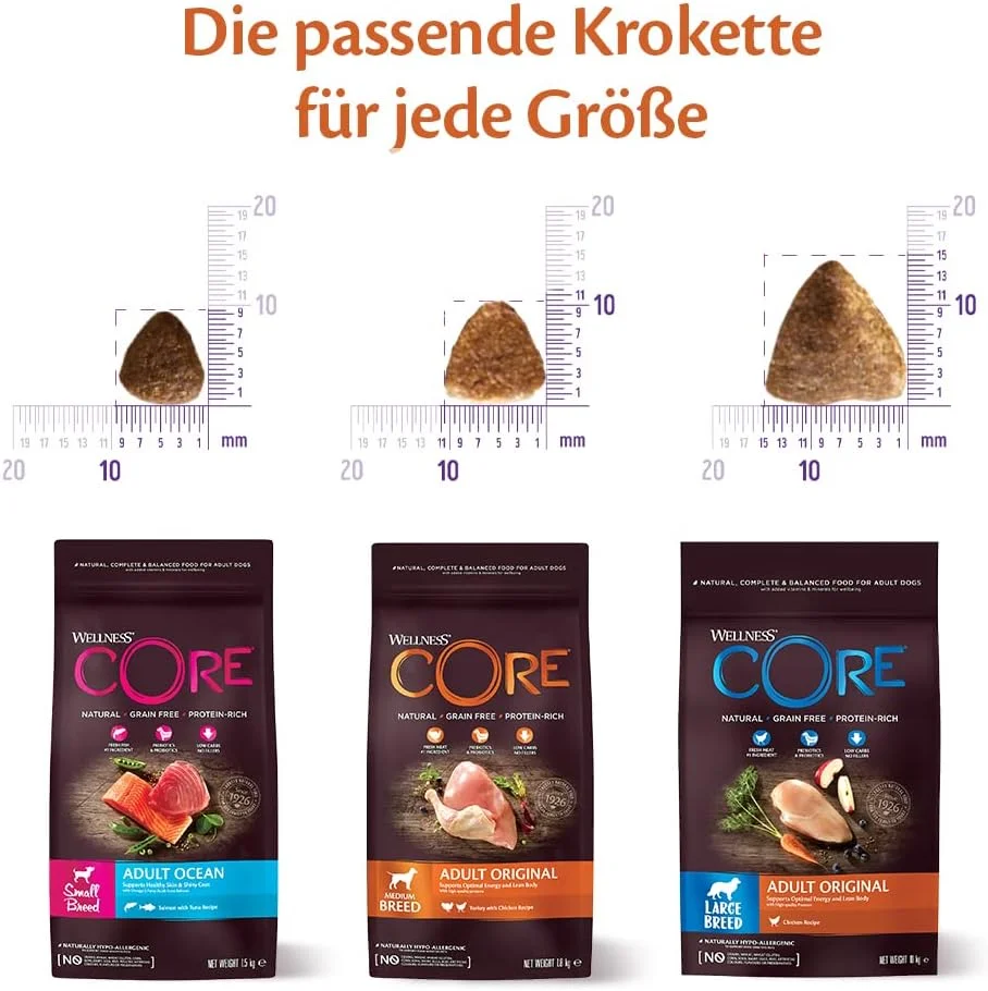 غذای خشک سگ نژاد کوچک با طعم بوقلمون Wellness Core وزن ۱.۵ کیلوگرم