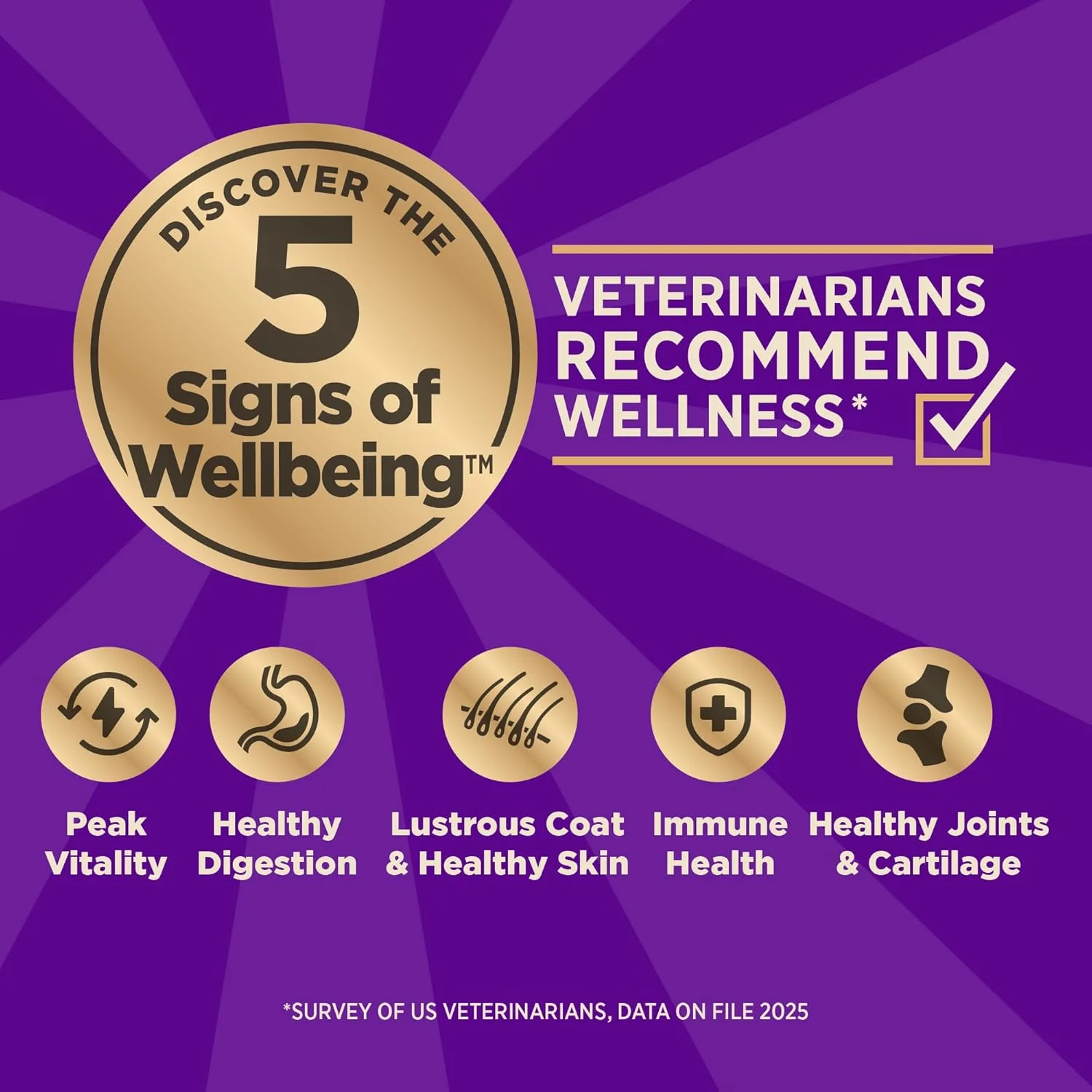 غذای خشک سگ نژاد کوچک Wellness CORE Rawrev بدون غلات با طعم مرغ و بوقلمون، حاوی تکه های بوقلمون خشک شده، 10 پوند