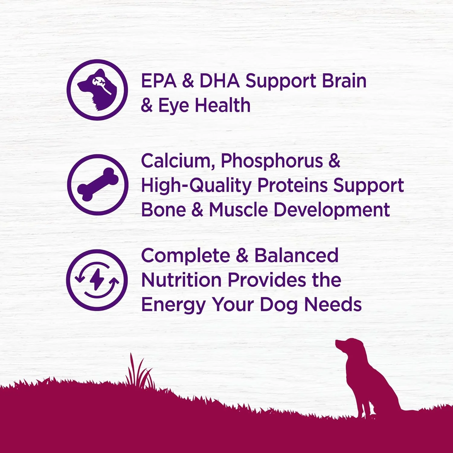 غذای خشک سگ نژاد کوچک Wellness Complete Health با غلات، مواد طبیعی، ساخت آمریکا با بوقلمون واقعی، برای سگ های تا 11 کیلوگرم (توله سگ، بوقلمون، سالمون و جو دوسر، کیسه 1.8 کیلوگرمی)