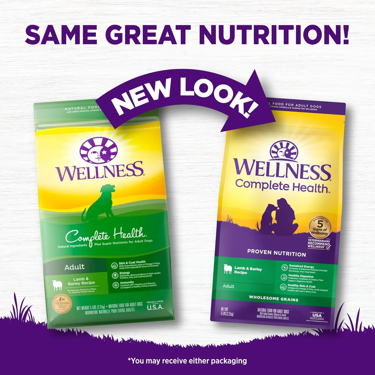 غذای خشک سگ با غلات Wellness Complete Health، مواد طبیعی، ساخت ایالات متحده آمریکا با گوشت واقعی، مناسب برای همه نژادها، برای سگ های بالغ (بره و جو، کیسه 5 پوندی)