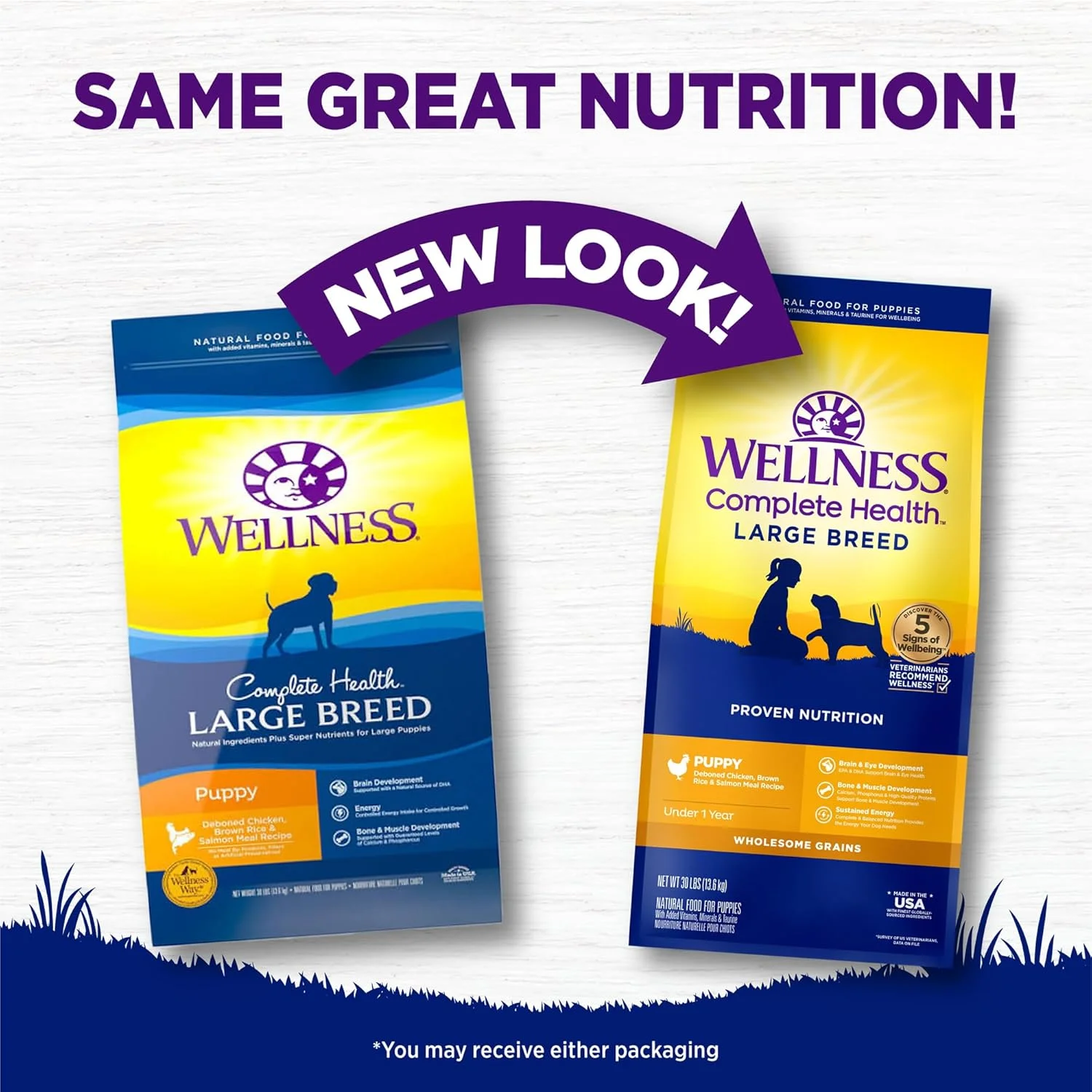 غذای خشک سگ نژاد بزرگ ولنس کامپلیت هلث، طعم طبیعی