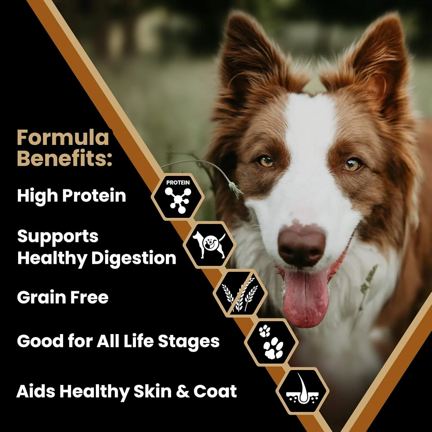 غذای خشک سگ ویکتور سوپر پریمیوم - بدون غلات، مرغ و سیب زمینی شیرین - 33% پروتئین، 16% چربی - غذای خشک سگ برای تمام مراحل زندگی - غذای خشک با پروتئین بالا برای تمام سگ های با فعالیت نرمال، 30 پوند