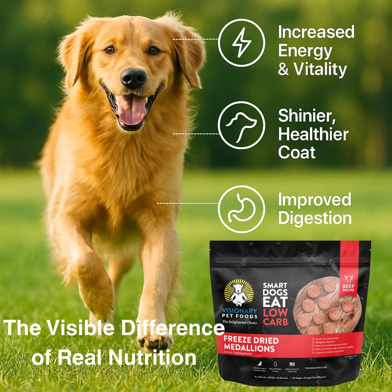 غذای سگ خشک شده انجمادی ویژنری پت فودز با طعم گوشت گاو – پروتئین بالا، کربوهیدرات کم، بدون غلات – دستور پخت طبیعی گوشت گاو برای تغذیه و هضم مطلوب سگ ها – 708 گرم