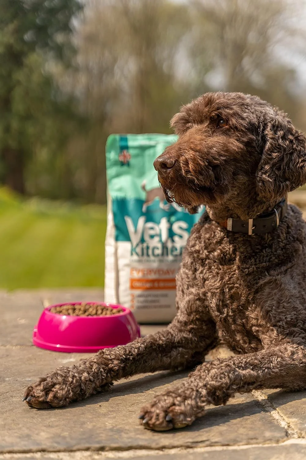 غذای خشک سگ بالغ با طعم مرغ و برنج قهوه ای وتز کیچن 3 کیلوگرمی