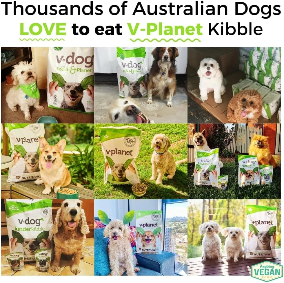 غذای خشک سگ نژاد کوچک وی-پلنت مینی بایتس | غذای خشک سگ وگان متعادل برای معده و پوست حساس - 6.8 کیلوگرم غذای خشک سگ نژاد کوچک وی-پلنت مینی بایتس | غذای خشک سگ وگان متعادل برای معده و پوست حساس - 6.8 کیلوگرم