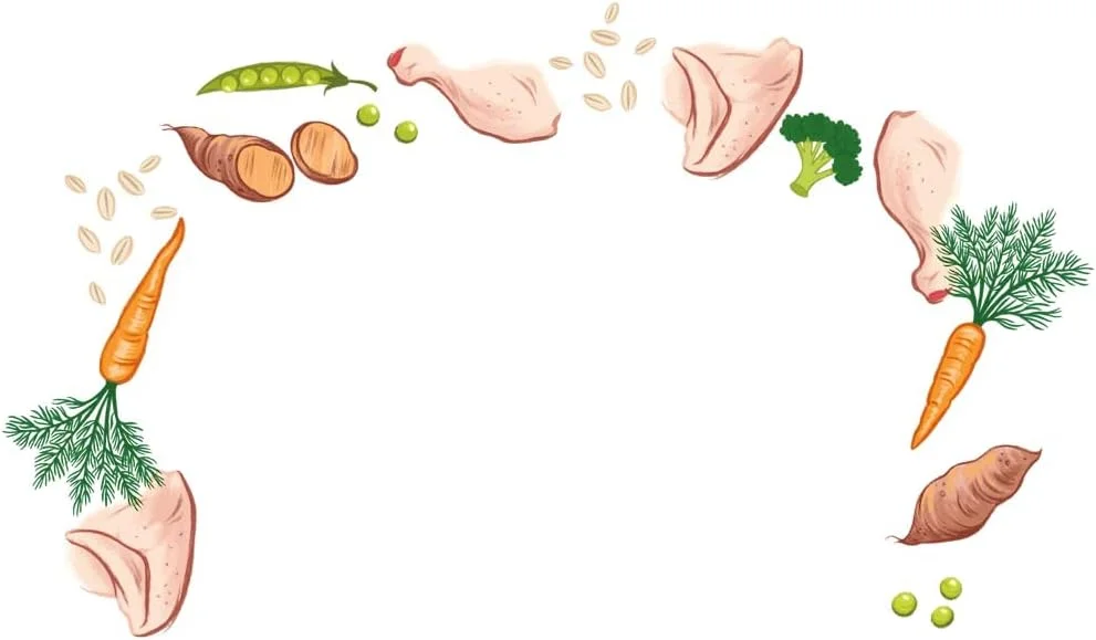 غذای خشک سگ نژاد کوچک سیم پلی با طعم بوقلمون تازه 2 کیلوگرمی