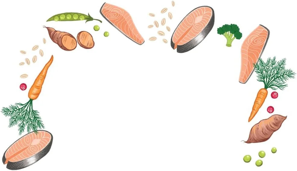 غذای خشک سگ بالغ سیمپلی با طعم سالمون تازه 2 کیلوگرمی