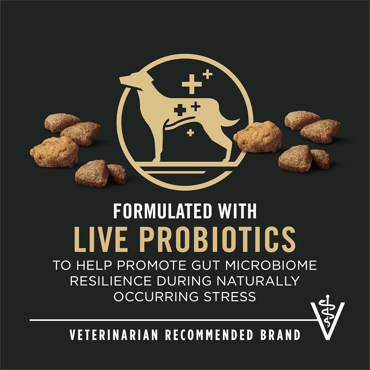 غذای خشک سگ بالغ پورینا پرو پلن با پروتئین بالا و پروبیوتیک، مخلوط تکه ای ماهی سالمون و برنج - بسته 5 پوندی