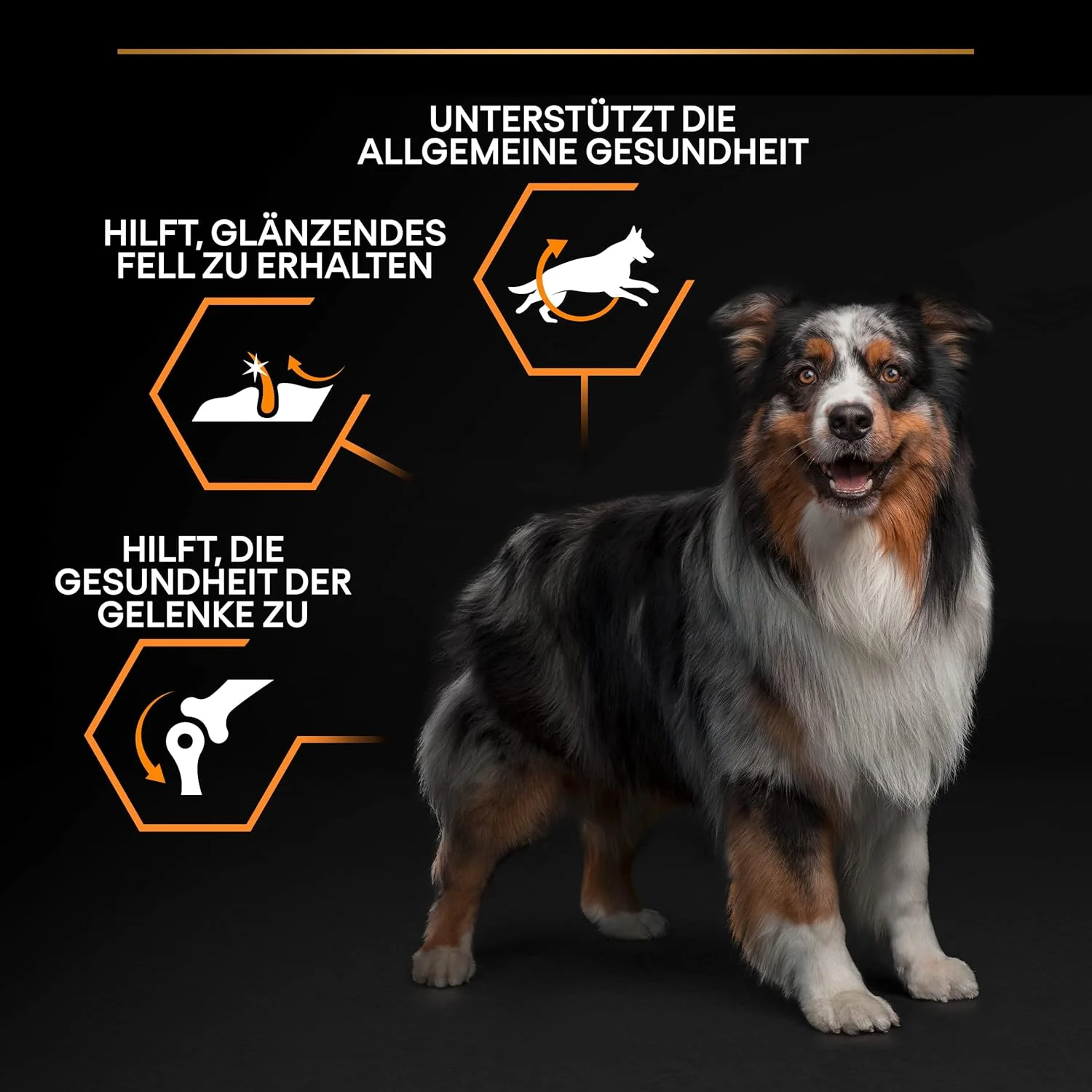 غذای خشک سگ بالغ نژاد متوسط با طعم مرغ Purina Pro Plan Everyday Nutrition، ۳ کیلوگرم