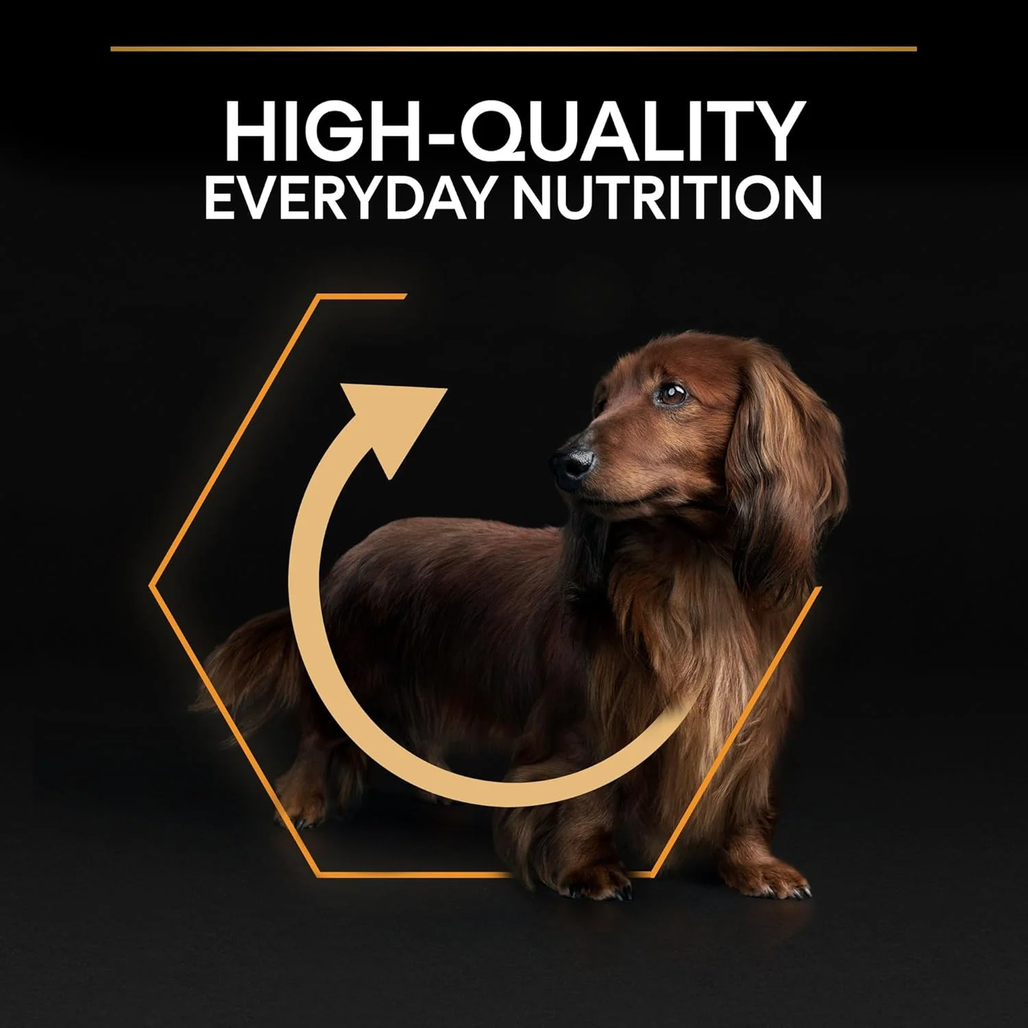 غذای خشک سگ بالغ نژاد کوچک و مینی پرو پلن با طعم مرغ (3 کیلوگرم)