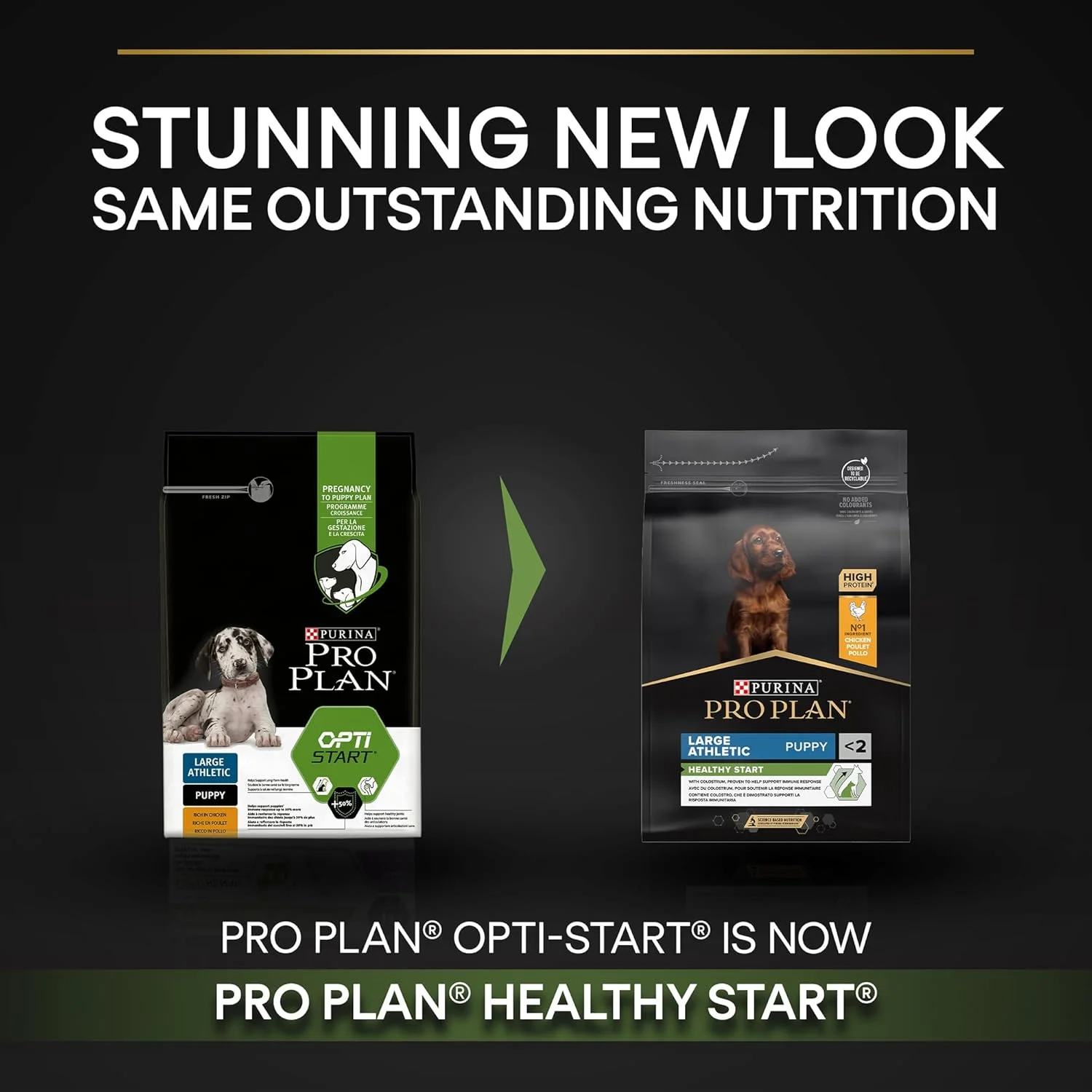 غذای خشک سگ نژاد بزرگ Purina Pro Plan Healthy Start با طعم مرغ، 3 کیلوگرم