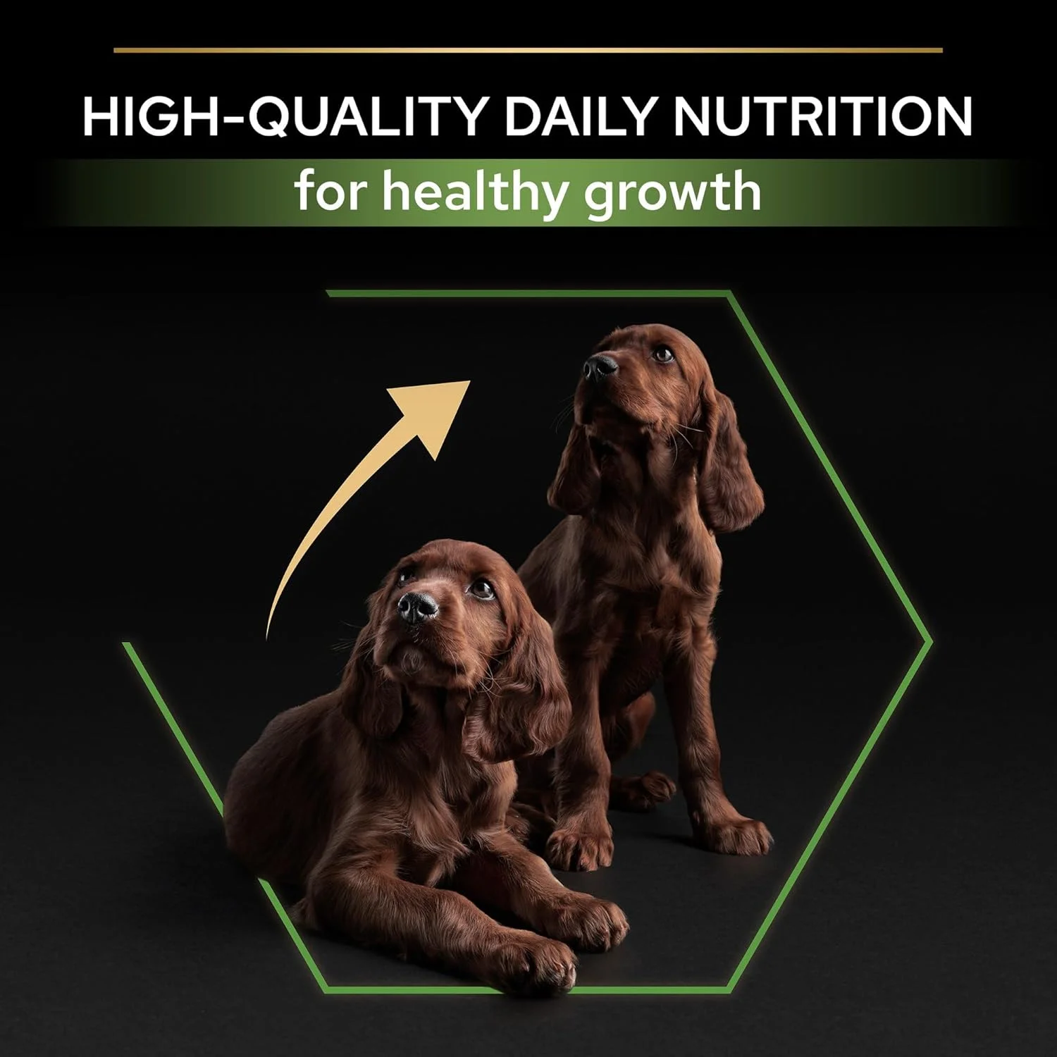 غذای خشک سگ نژاد بزرگ Purina Pro Plan Healthy Start با طعم مرغ، 3 کیلوگرم