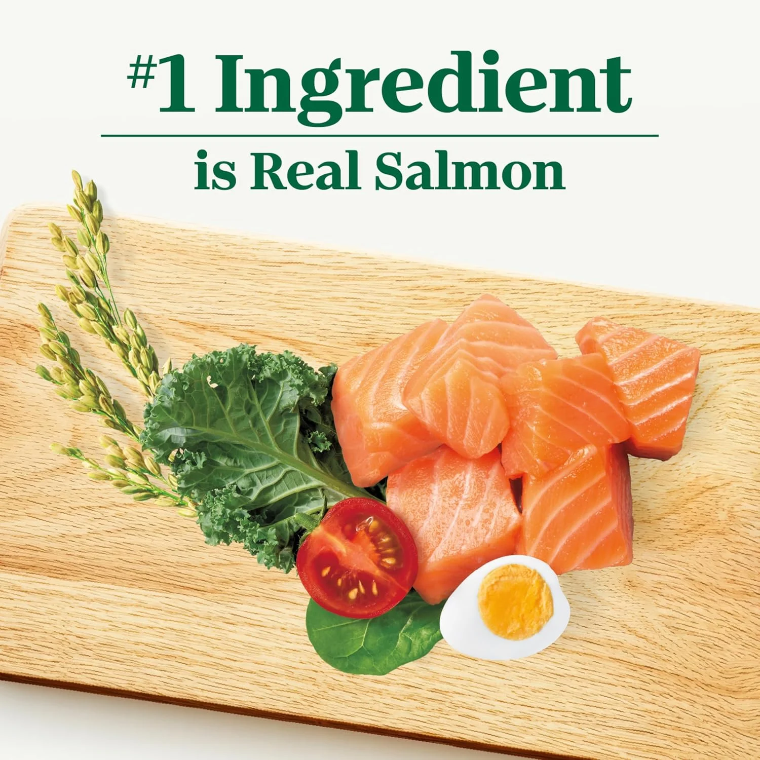 غذای خشک سگ بالغ نوتریو نچرال چویس با تکه های کوچک، طعم سالمون و برنج قهوه ای، 28 پوند