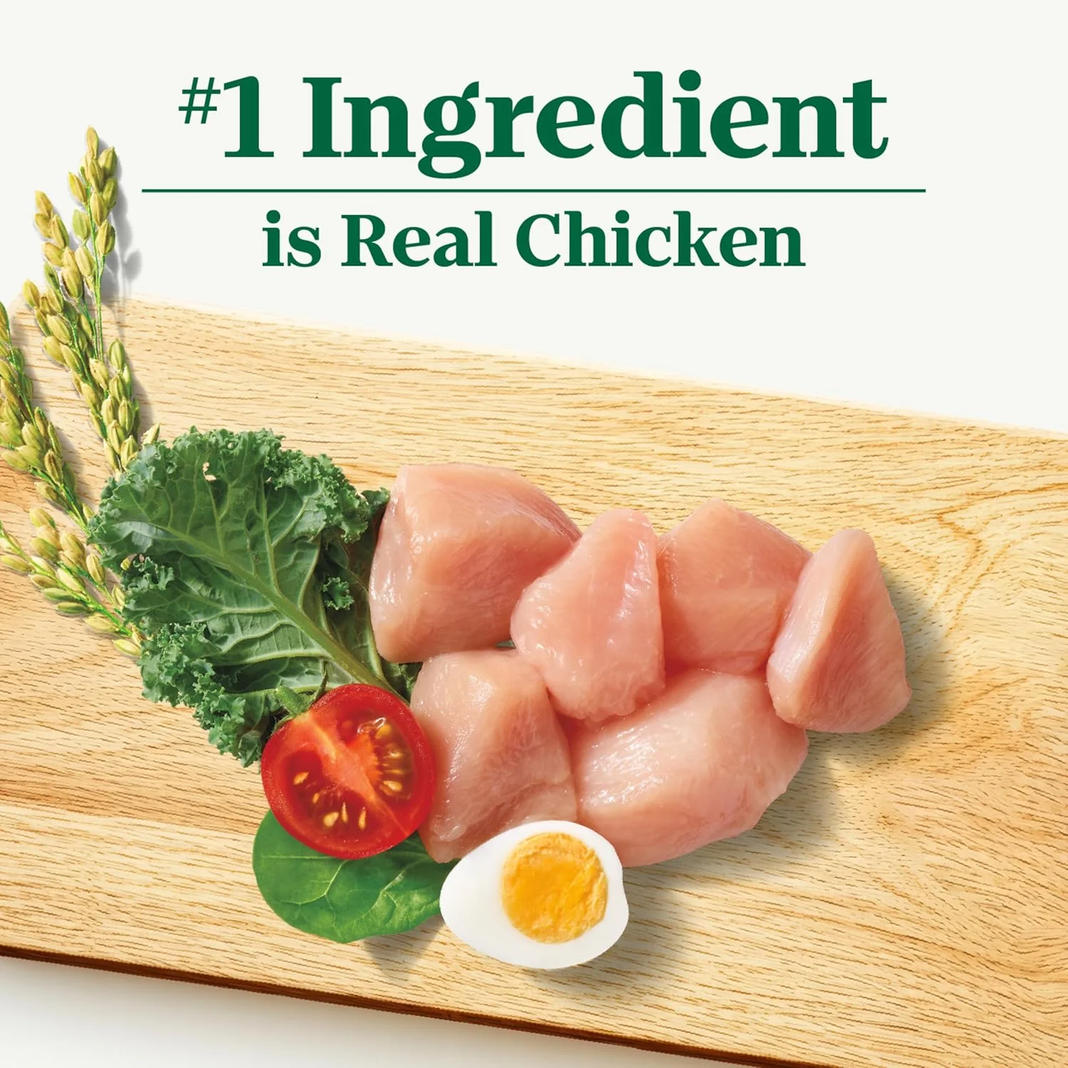 غذای خشک سگ نژاد بزرگ Nutro Natural Choice، مخصوص توله سگ، طعم مرغ و برنج قهوه ای، 5.9 کیلوگرم