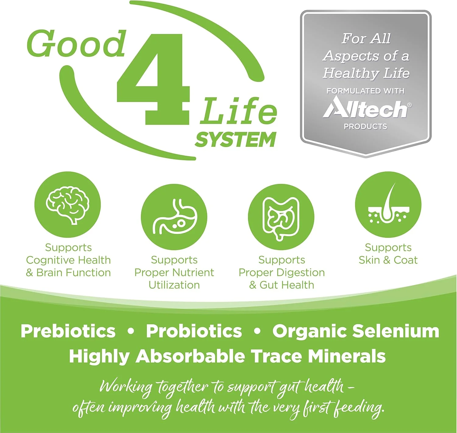 غذای خشک سگ NutriSource برای مدیریت وزن، مرغ و وعده غذایی مرغ، 26 پوند