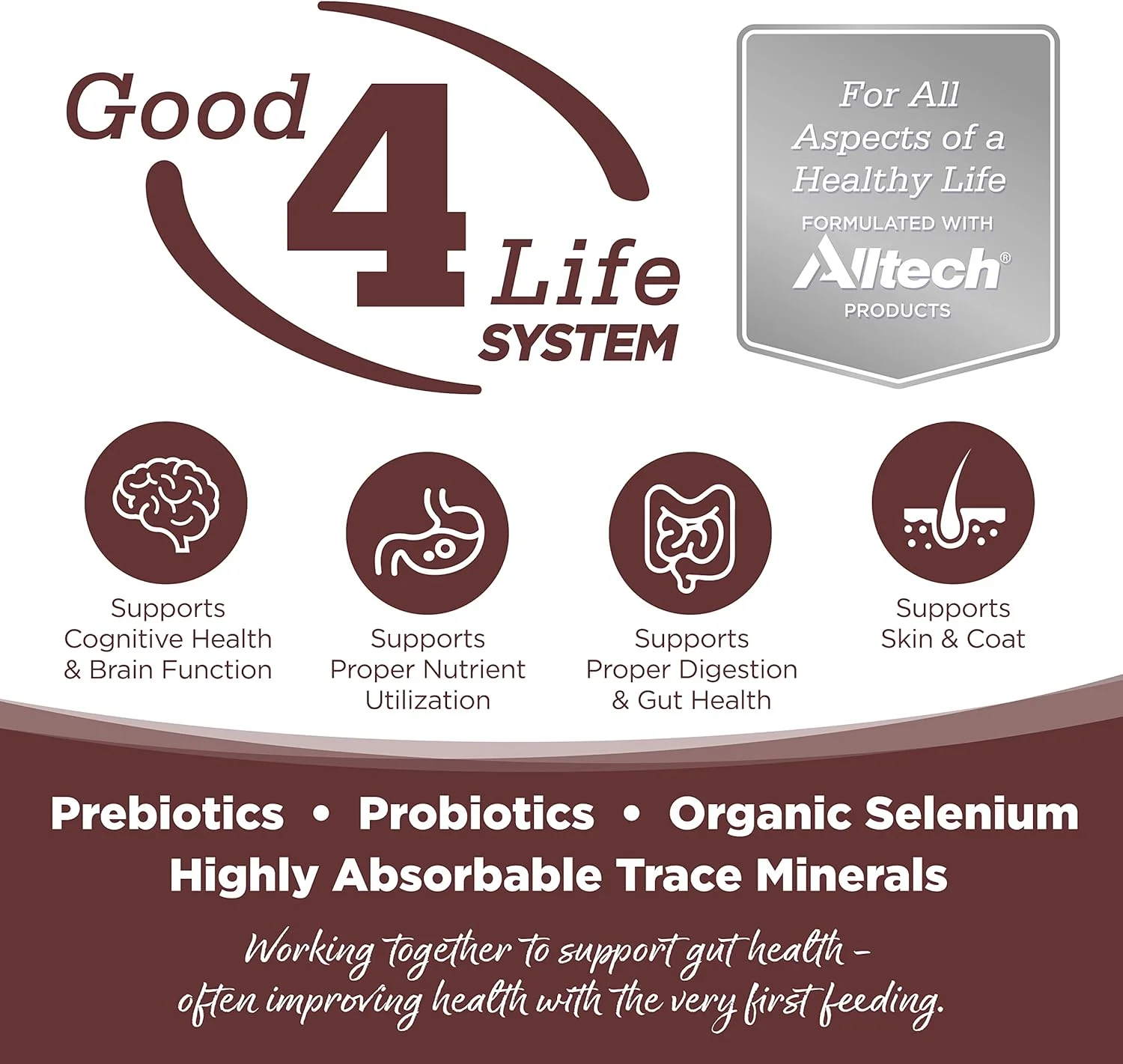 غذای خشک سگ بدون غلات نوتری سورس Prairie Select، بلدرچین و اردک، 26 پوند