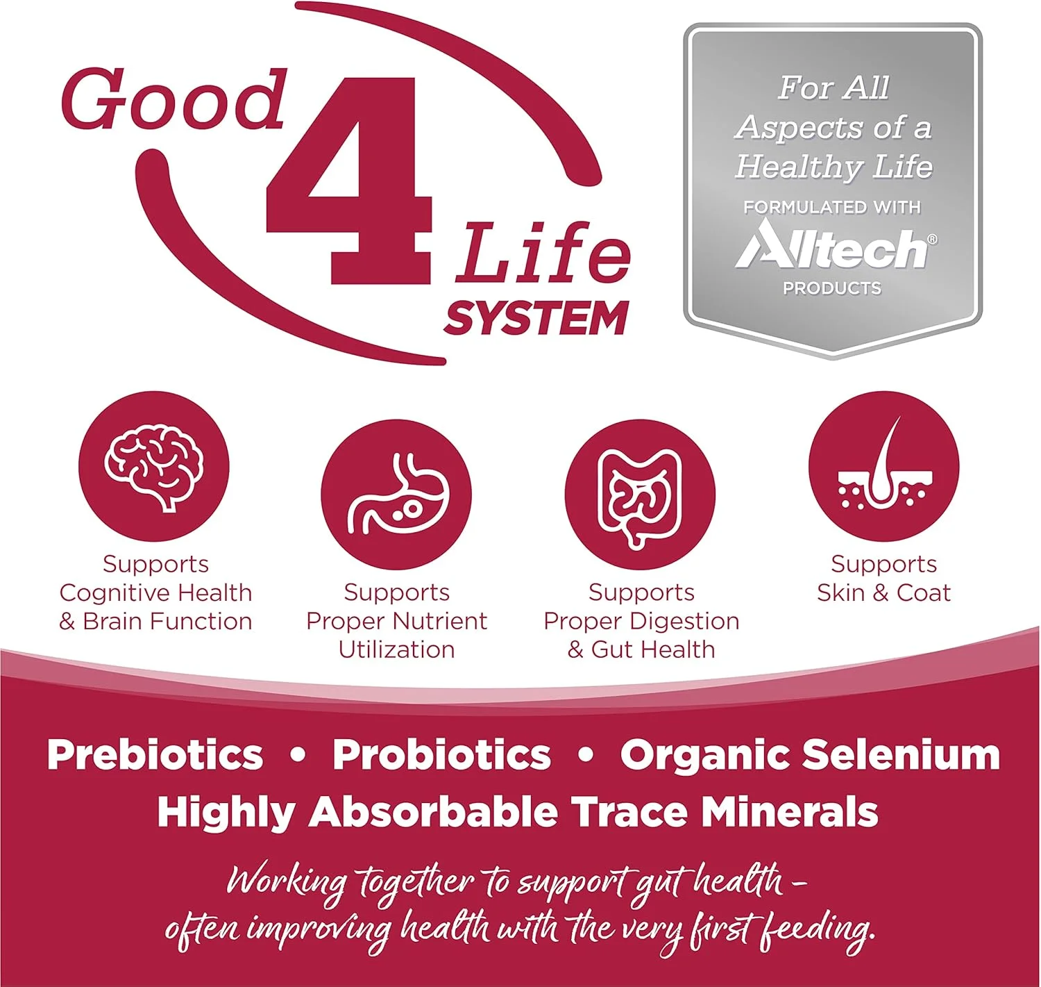 غذای خشک سگ بدون غلات نوتری سورس با طعم غذاهای دریایی، ماهی سالمون و وعده غذایی ماهی منهادن، 26 پوند