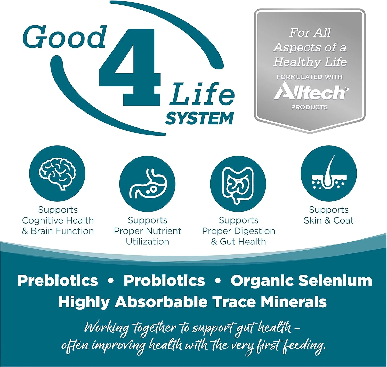 غذای خشک سگ بدون غلات نوتری سورس، مرغ و نخود، 26 پوند