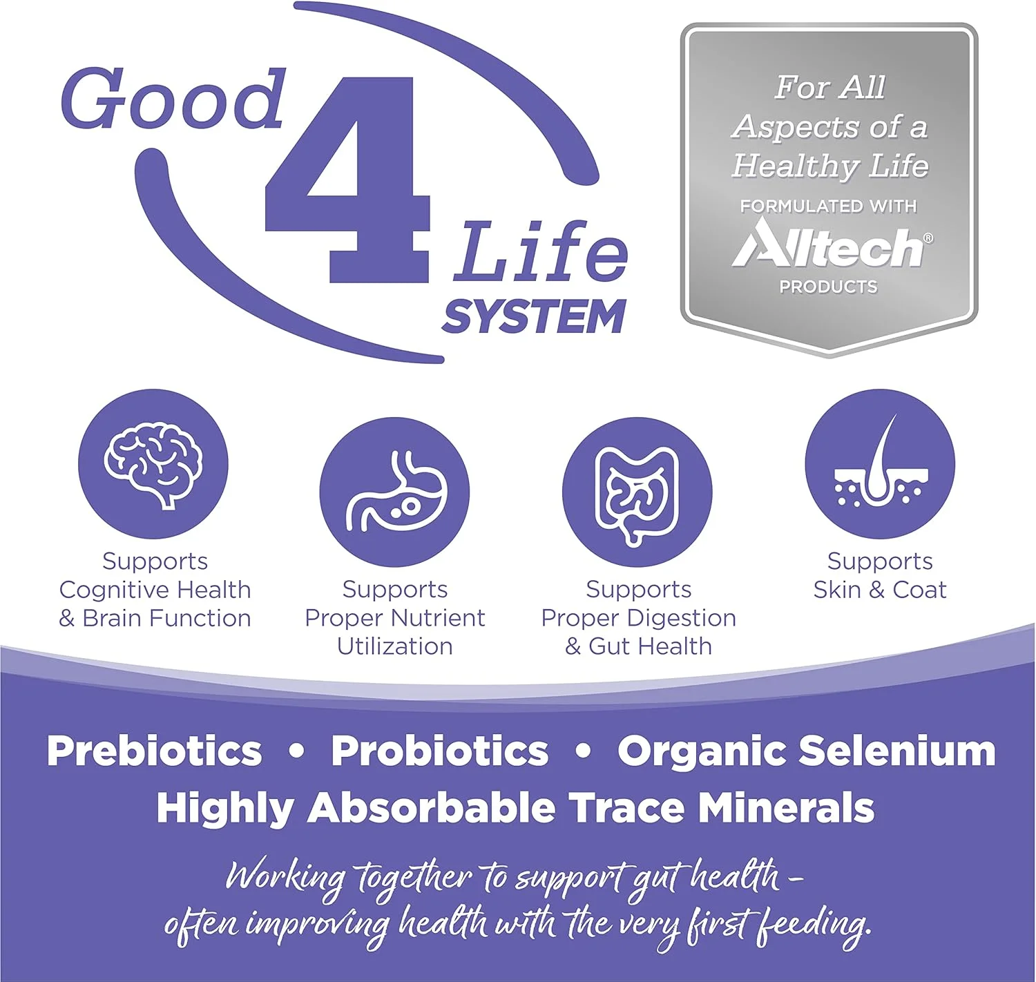 غذای خشک سگ نوتری سورس، توله سگ نژاد کوچک، 18 پوند - 26302