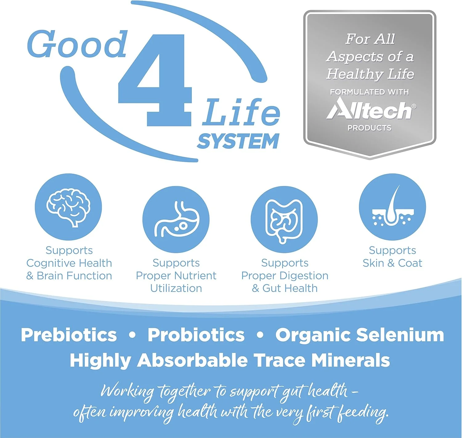 غذای خشک سگ نوتری سورس مخصوص نژادهای بزرگ، طعم قزل آلا و برنج، 26 پوند