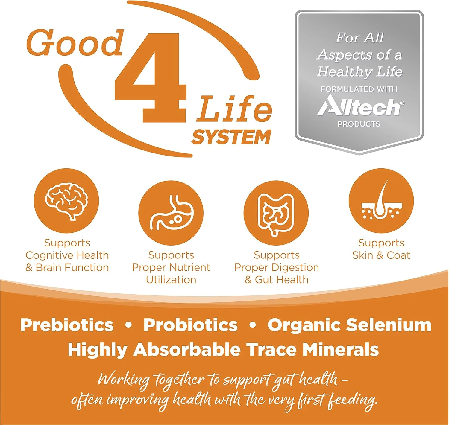 غذای خشک سگ بالغ نوتری سورس، طعم بره و برنج، 3 کیلوگرم - 26604 غذای خشک سگ بالغ نوتری سورس، طعم بره و برنج، 3 کیلوگرم - 26604