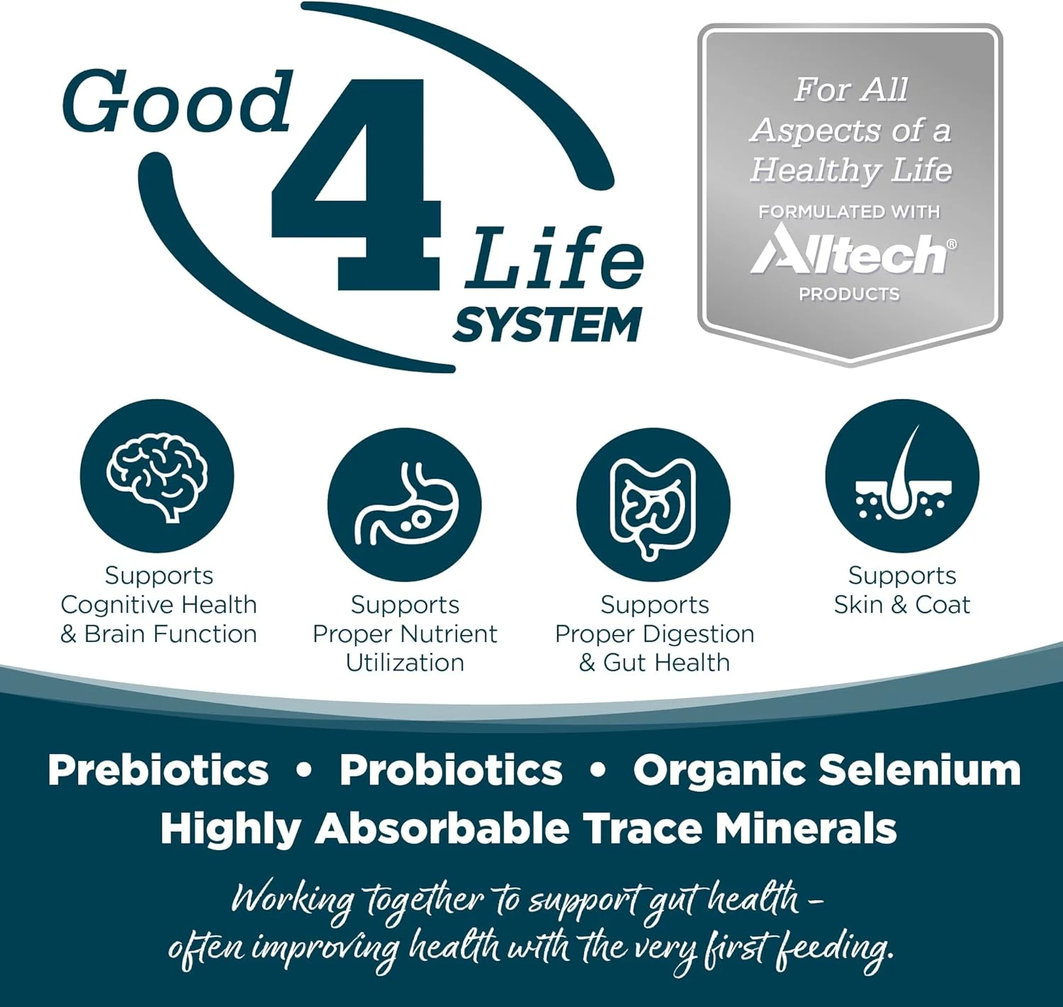 غذای خشک سگ بالغ نوتری سورس، قطعات کوچک، مرغ و برنج، 5.4 کیلوگرم