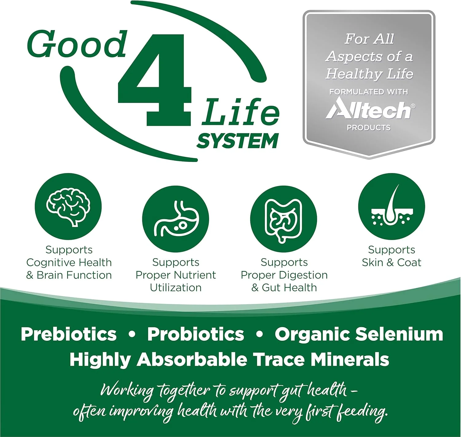 غذای خشک سگ نوتری سورس، بوقلمون و برنج، 26 پوند