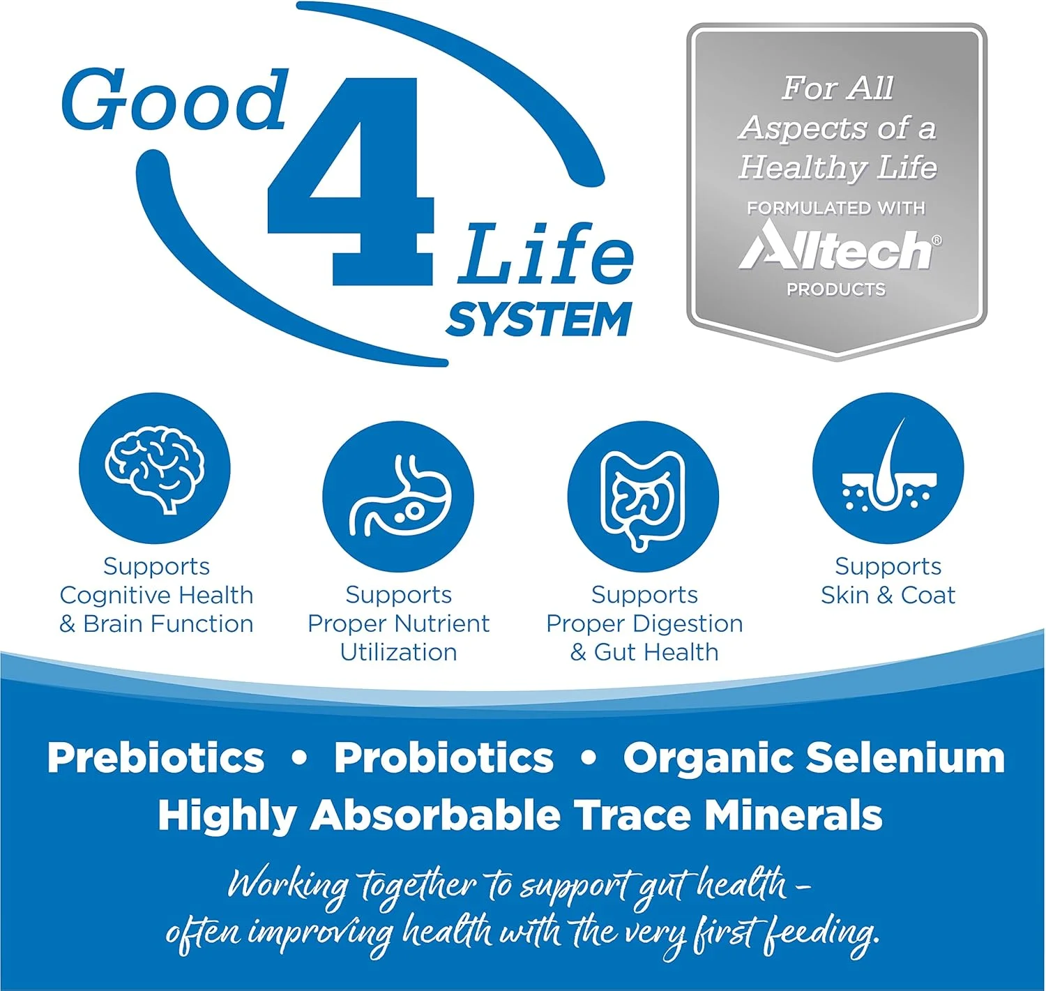 غذای خشک سگ بالغ نوتری سورس، تهیه شده با مرغ و برنج، نژاد بزرگ، با غلات کامل، 30 پوند