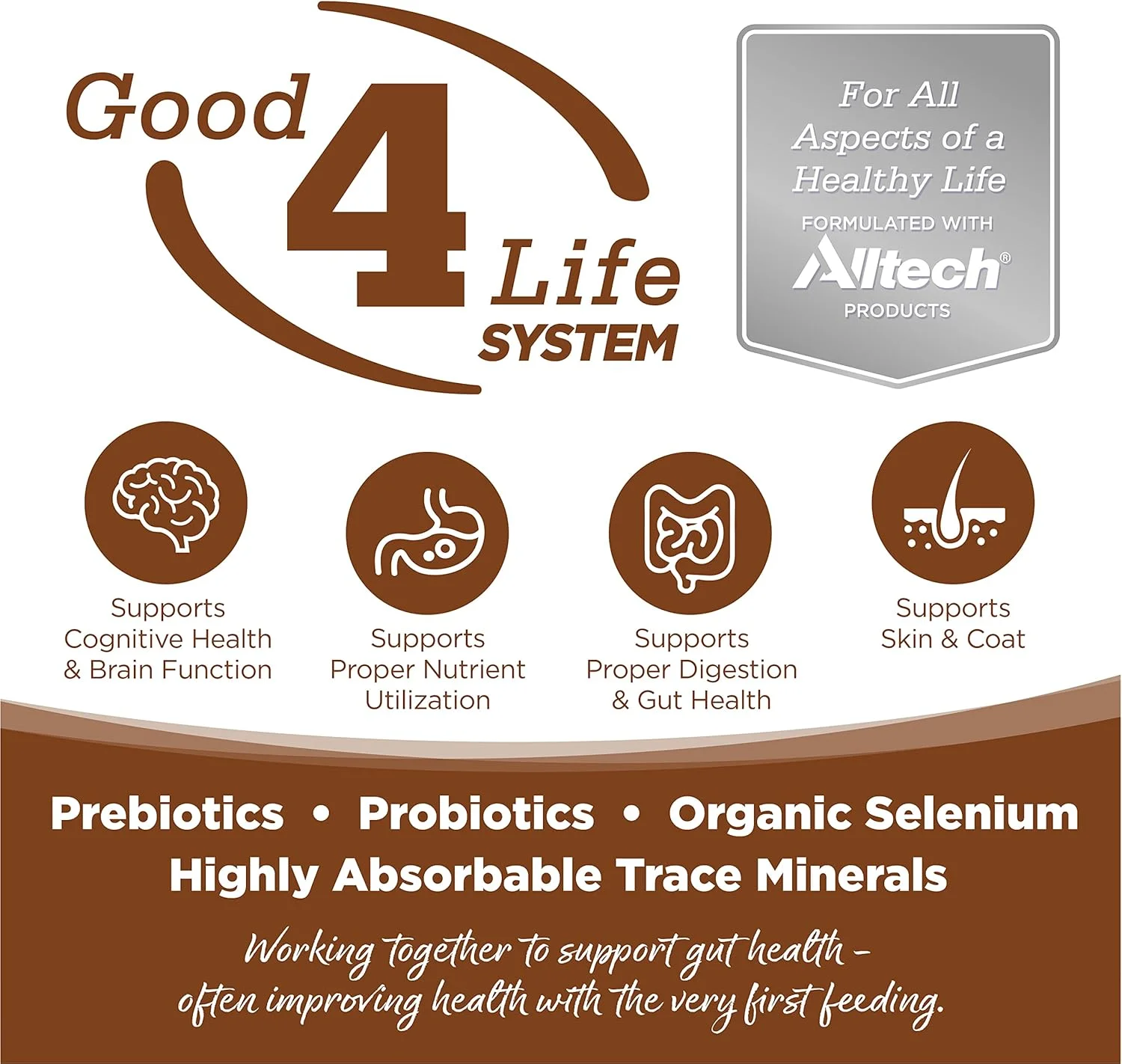 غذای خشک سگ بالغ نوتری سورس، تهیه شده با گوشت بره و برنج، مخصوص نژادهای بزرگ، با غلات کامل، 30 پوندی