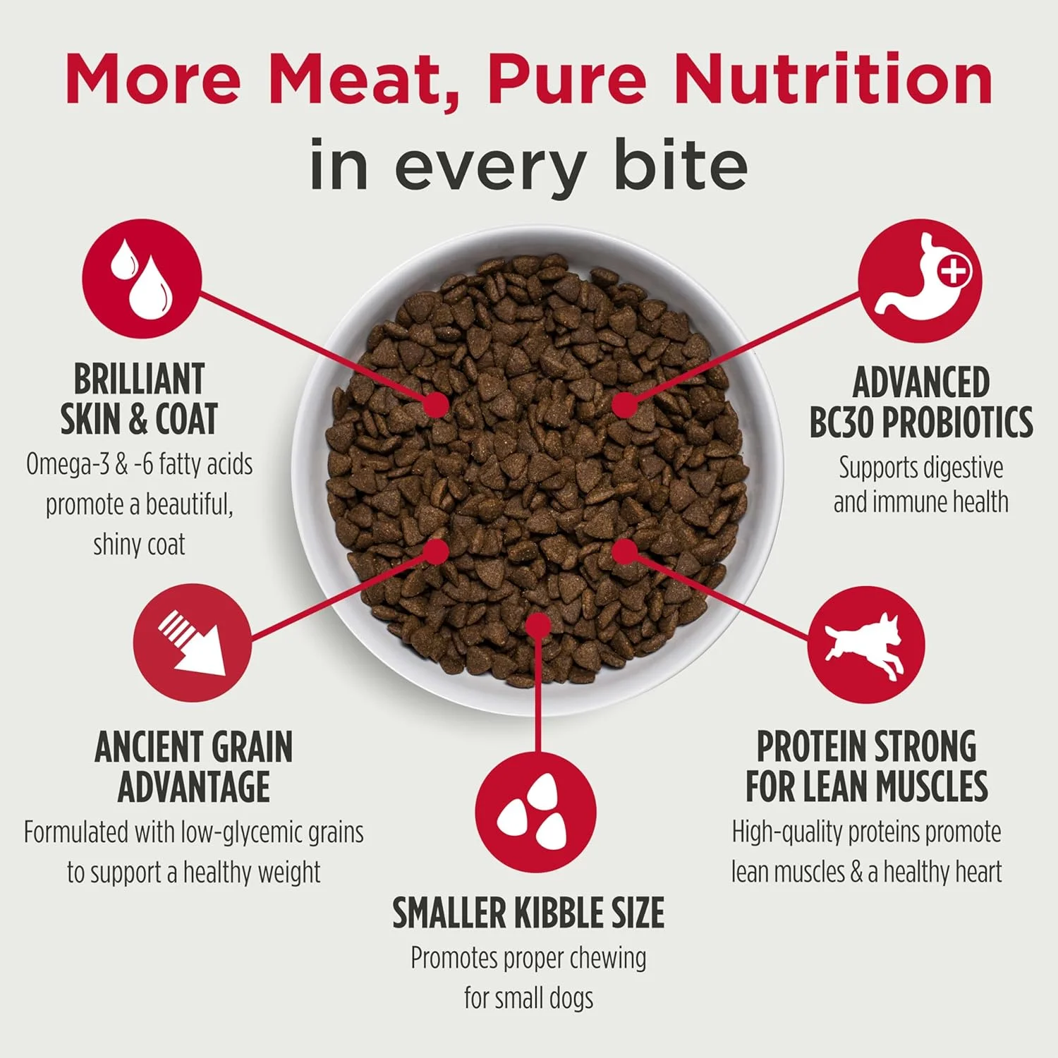 غذای خشک سگ نژاد کوچک نولو فرانت رانر، دانه غلات باستانی ممتاز با دانه های کوچک برای جویدن مناسب، حاوی تورین برای سلامت قلب و پروبیوتیک برای حمایت از هضم