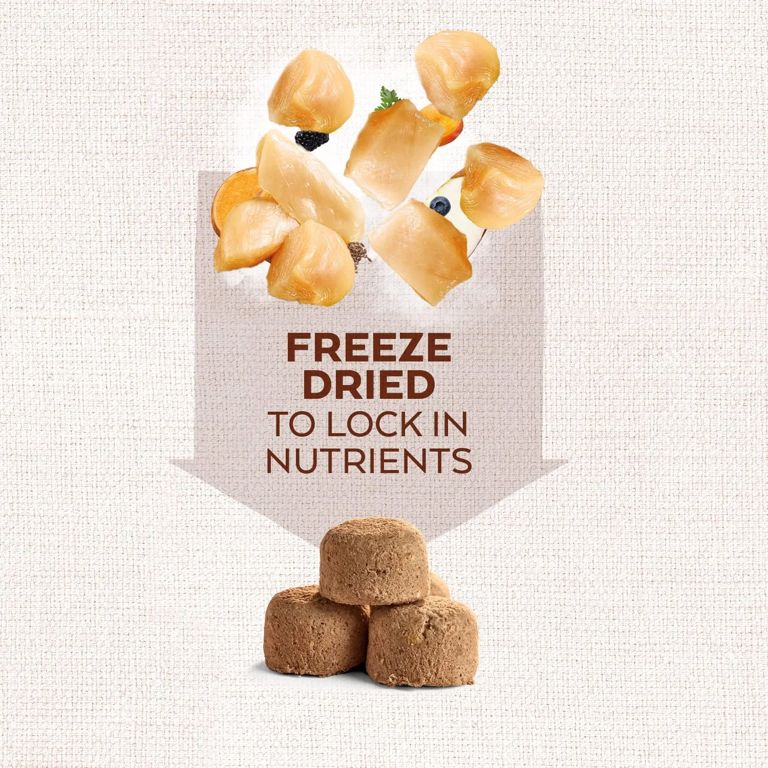 غذای کامل خشک شده با انجماد مرغ Nature's Variety برای سگ های نژاد متوسط/بزرگ - بسته 5 عددی 250 گرمی